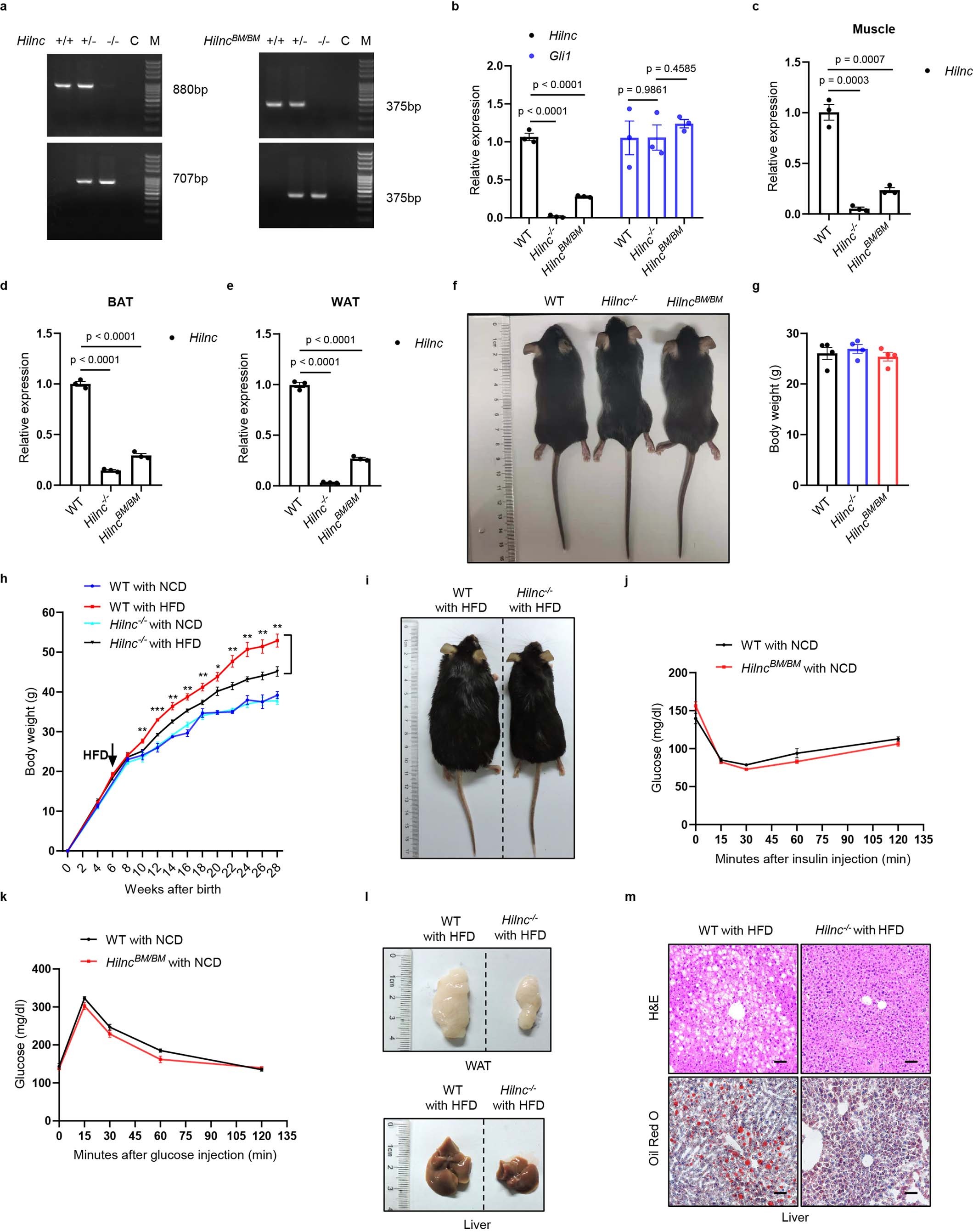 Extended Data Fig. 3