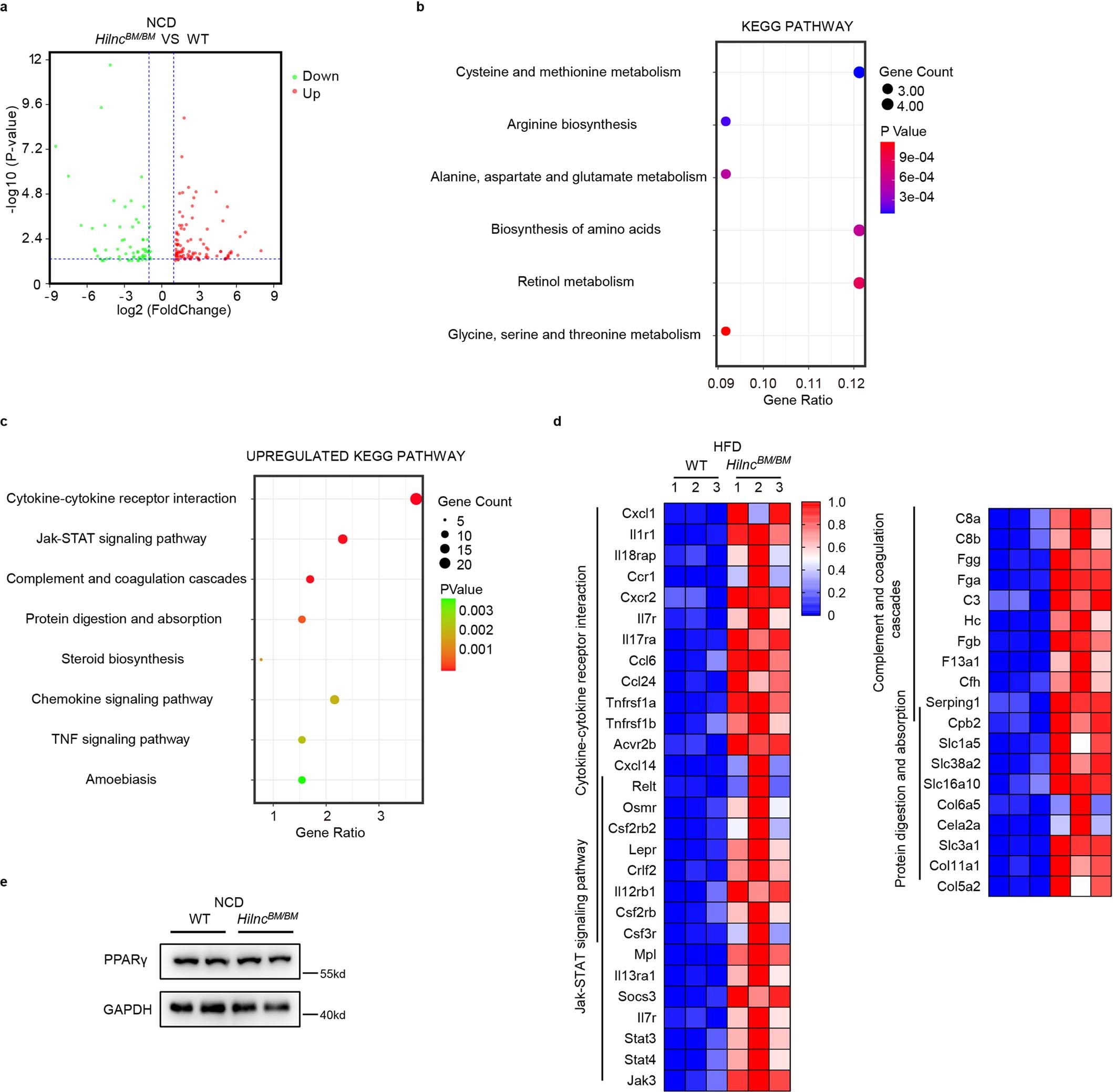Extended Data Fig. 6