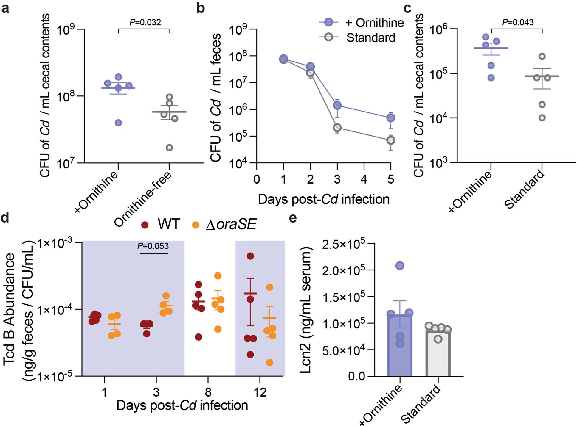 Extended Data Fig. 4: Dietary ornithine boosts Cd abundance in the mouse gut.