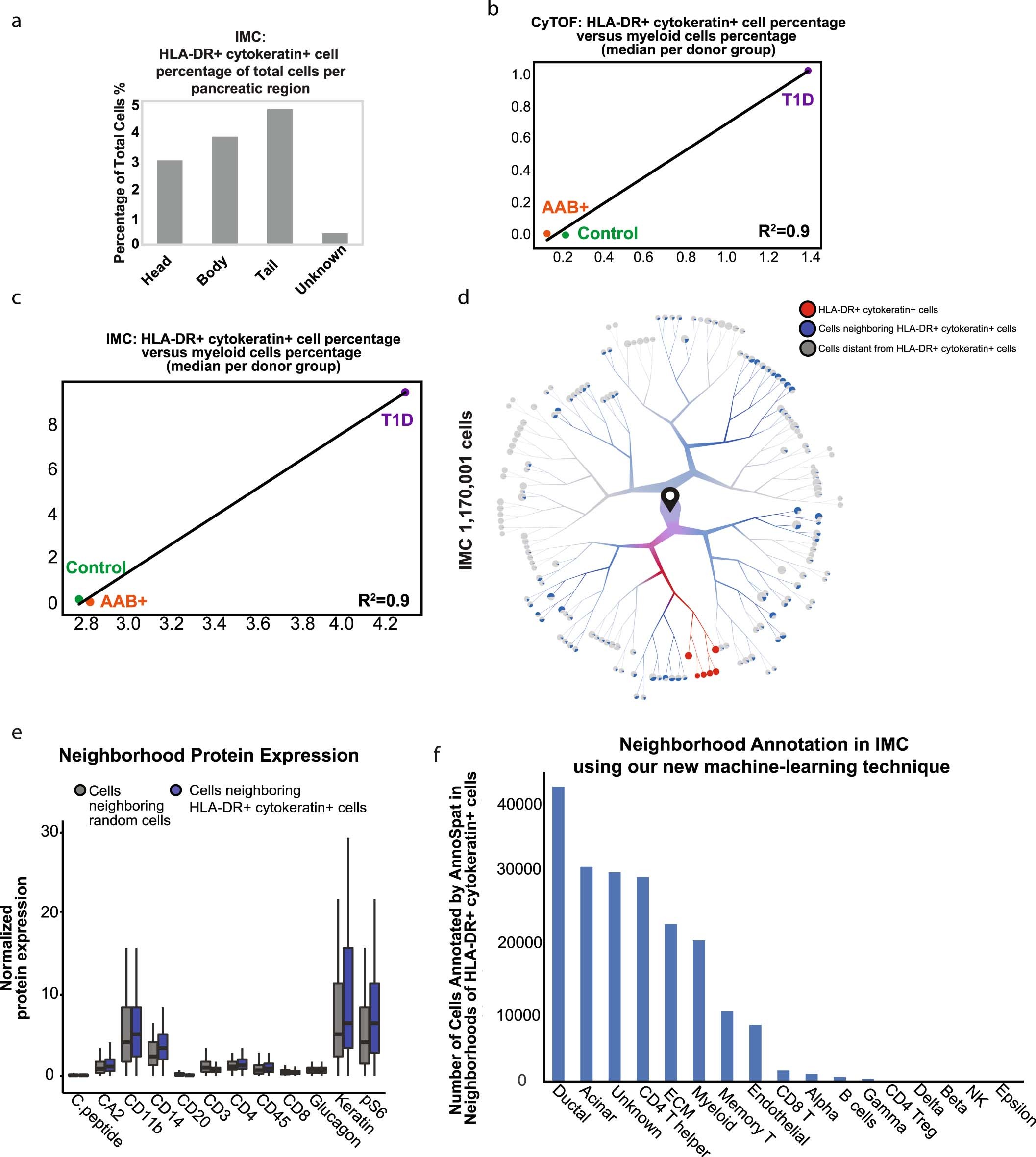 Extended Data Fig. 10: Cellular neighborhood analysis in IMC data demonstrates the enrichment of CD4+ T cells surrounding HLA-DR+ ductal cells.