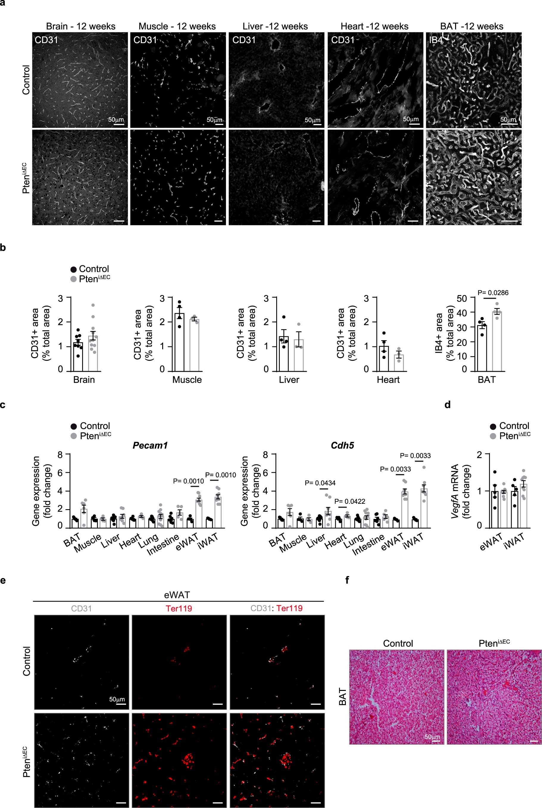Extended Data Fig. 3