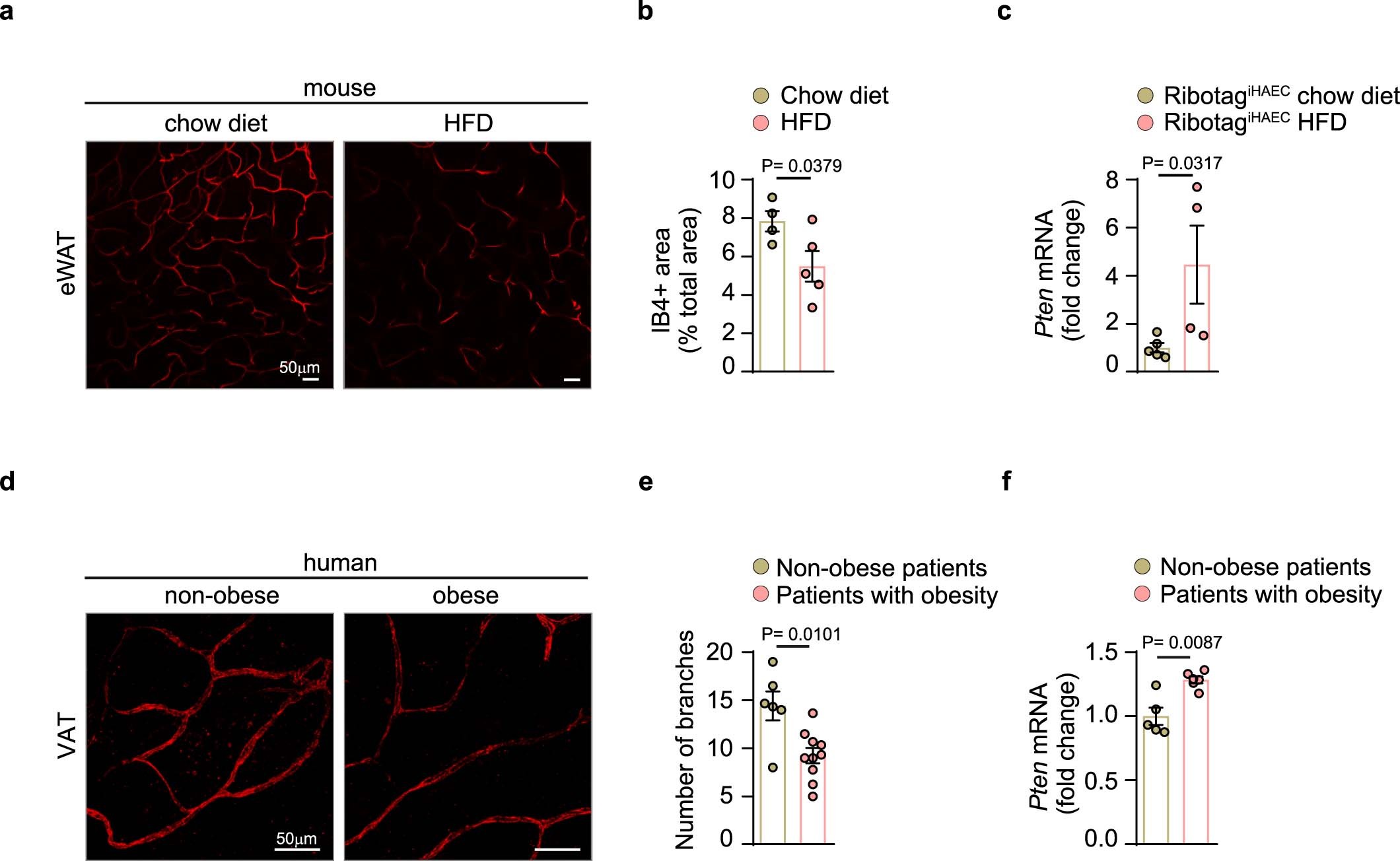 Extended Data Fig. 5