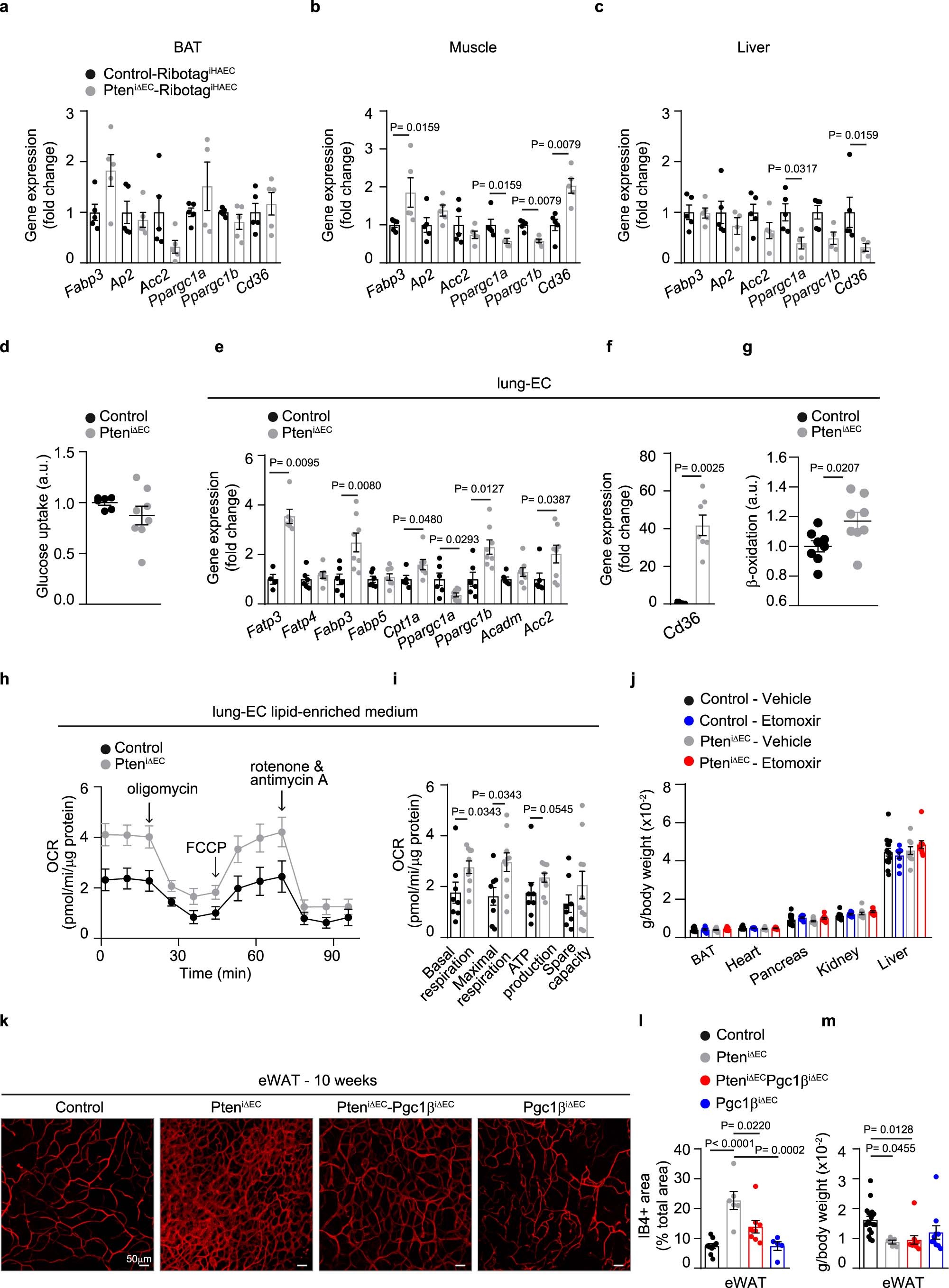 Extended Data Fig. 7