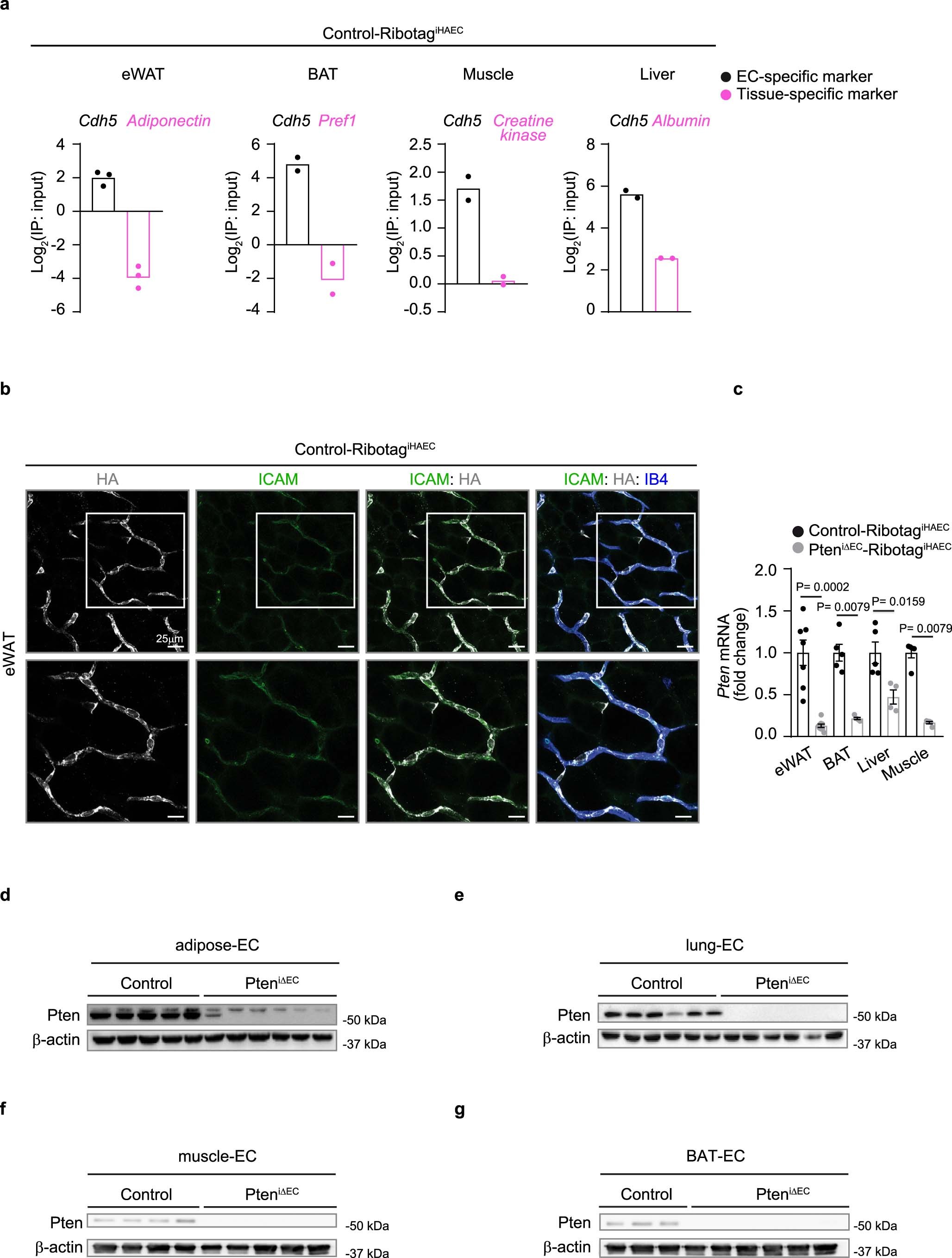 Extended Data Fig. 1