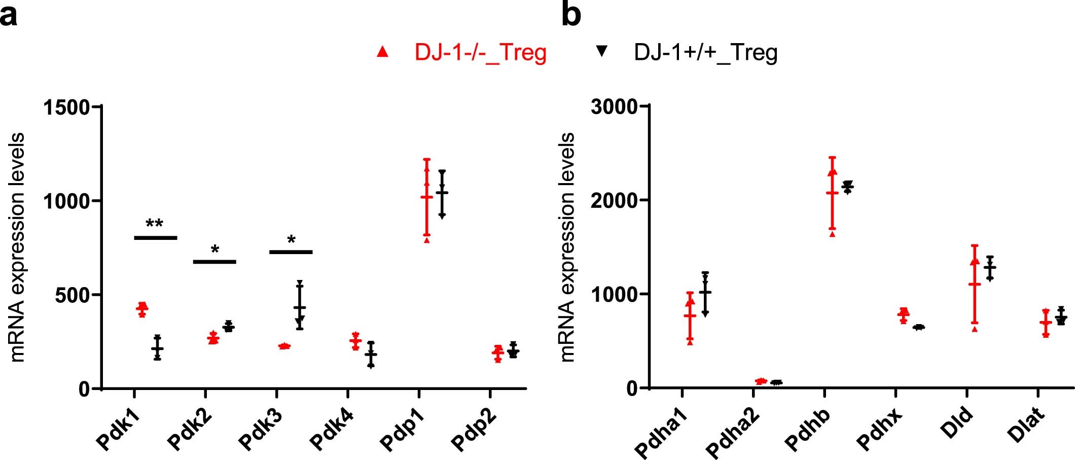 Extended Data Fig. 6: Expression analysis of the genes encoding PDH complex and the PDH regulatory machinery in nTregs of aged mice.