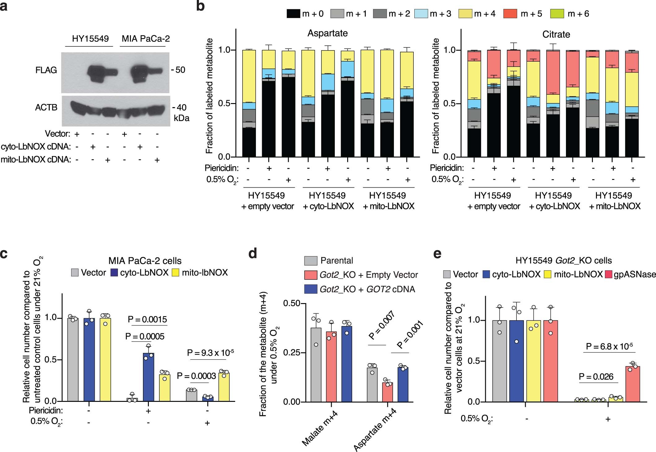 Extended Data Fig. 2: Mitochondrial NAD+ is limiting for PDAC cell proliferation under hypoxia.