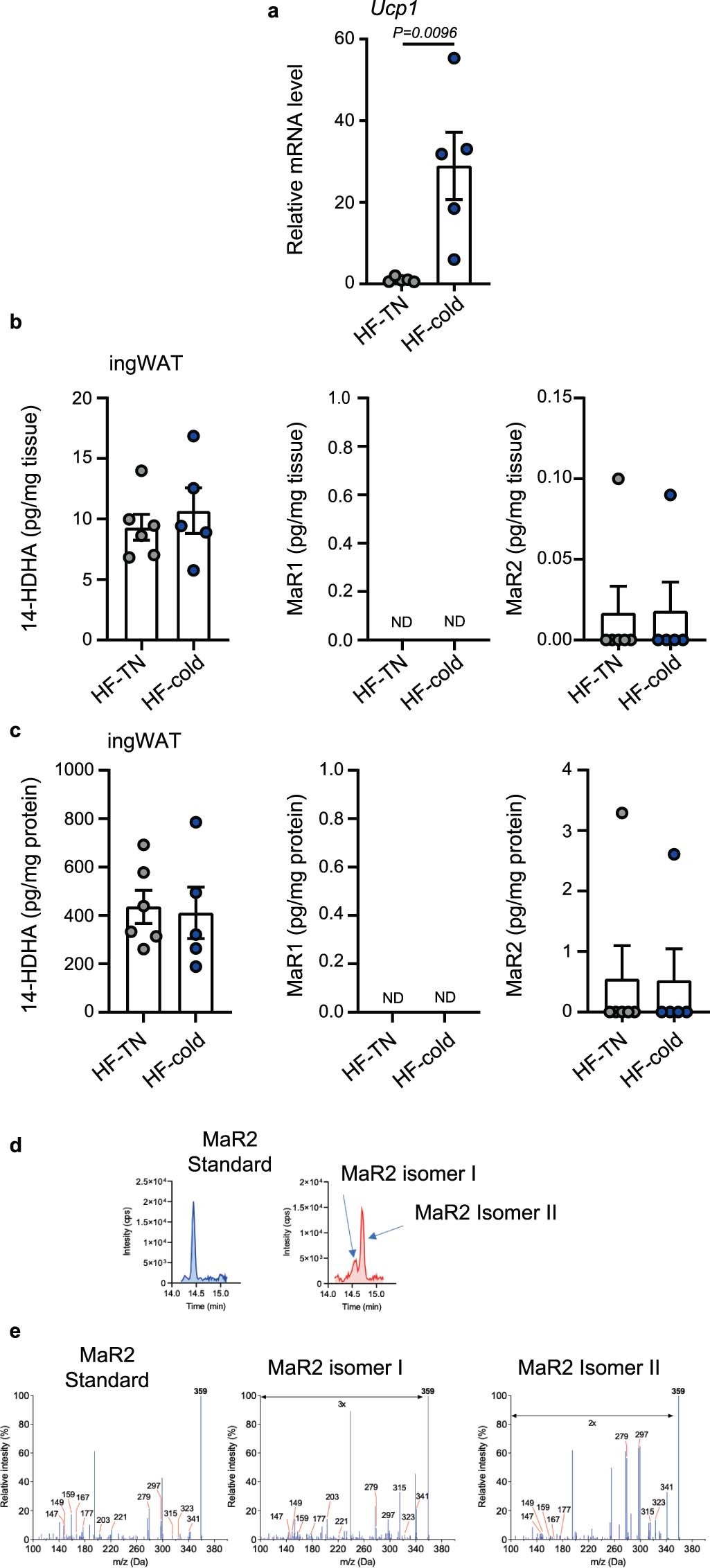 Extended Data Fig. 6: Identification of maresin pathway products in ingWAT of obese mice exposed to cold and in plasma of mice with BAT removal, related to Fig. 4 and Fig. 5.