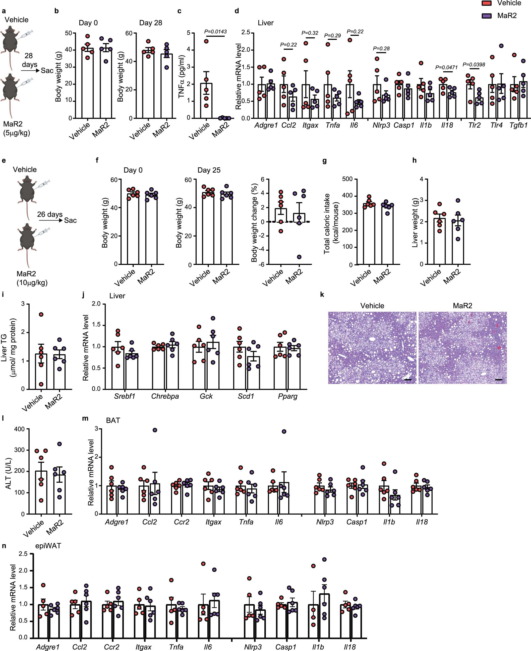 Extended Data Fig. 8: MaR2 resolves inflammation systemically and in the liver of DIO mice, related to Fig. 8.