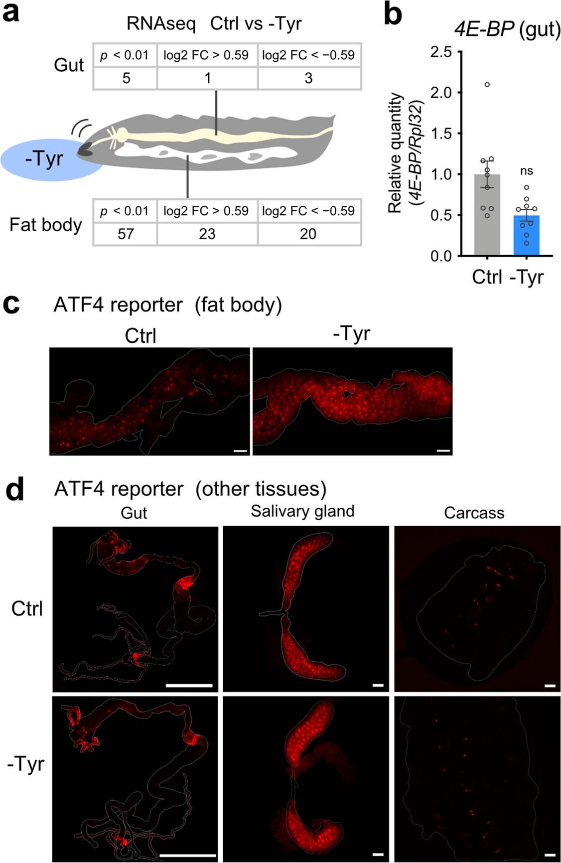 Extended Data Fig. 2