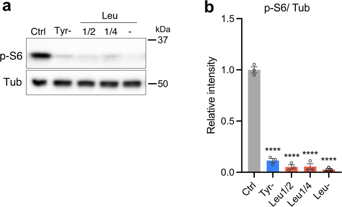 Extended Data Fig. 5