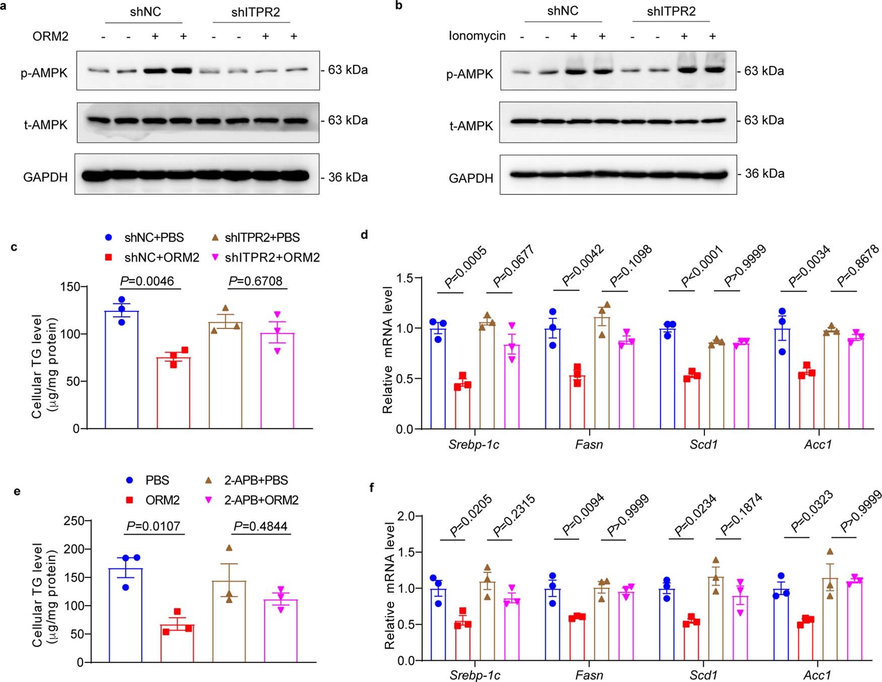 Extended Data Fig. 6