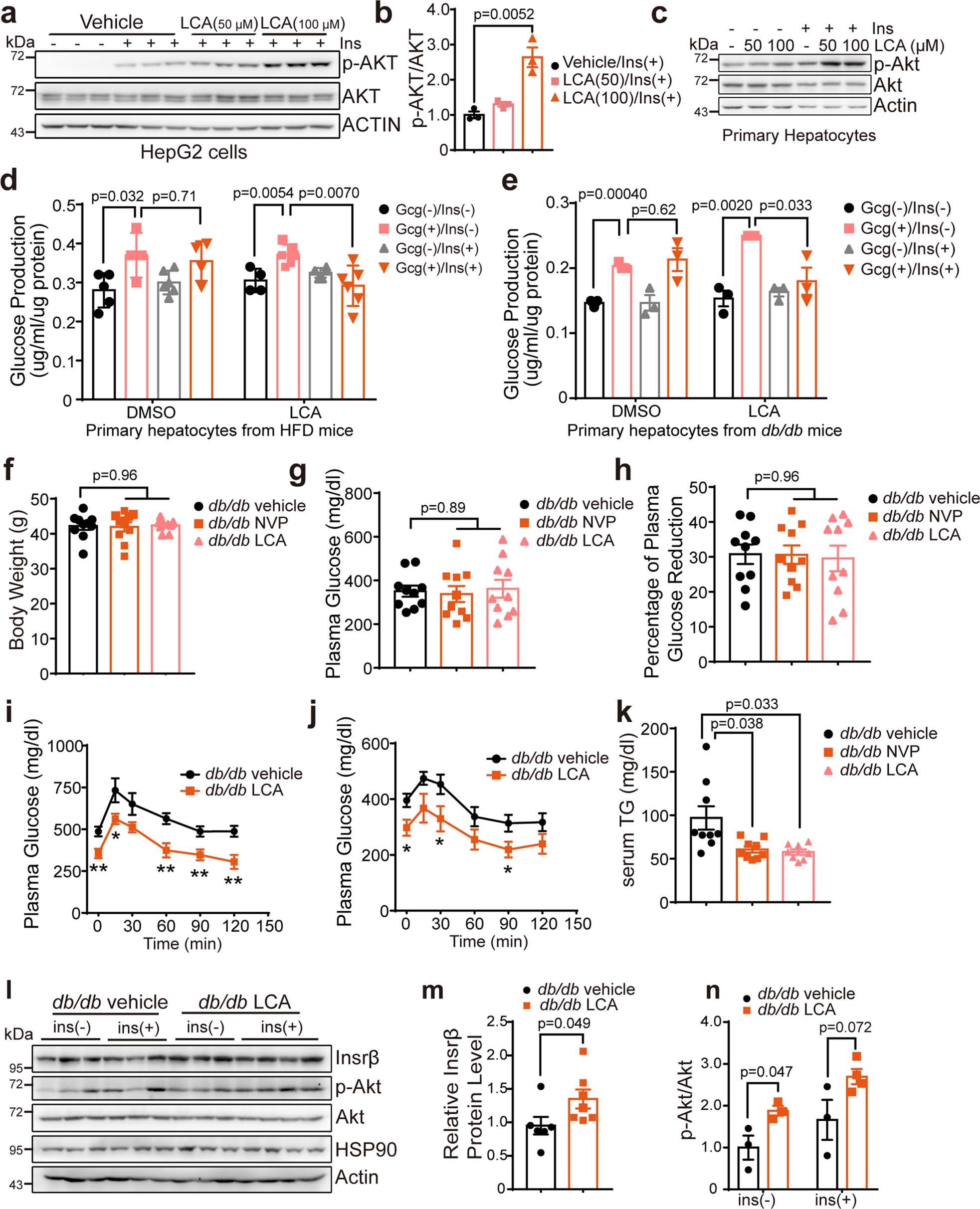 Extended Data Fig. 9: A pharmacological EphB4 inhibitor improved metabolism in mice.