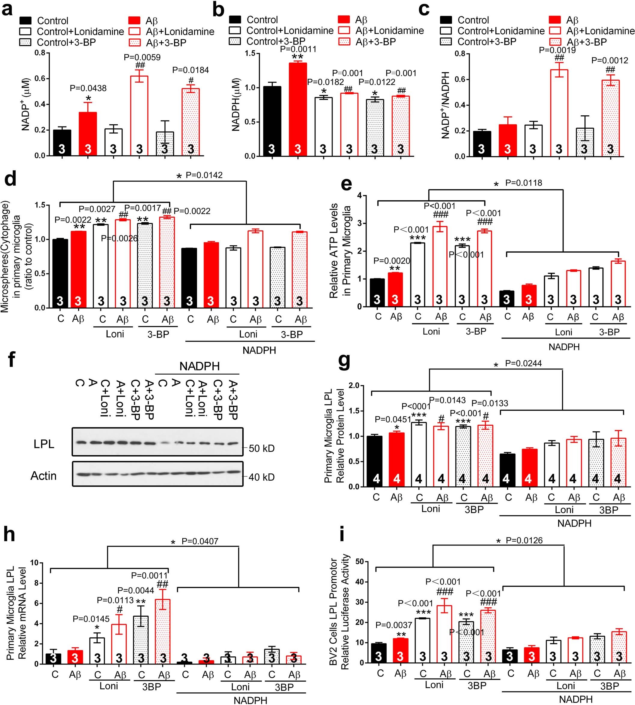 Extended Data Fig. 10: HK2 inhibitors decreased NAPDH production, and NAPDH blocked the phagocytosis, ATP production, and LPL expression induced by HK2 inhibition.