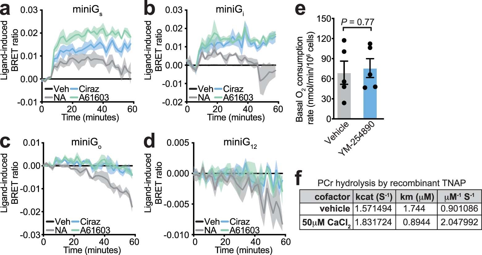 Extended Data Fig. 8: Physical and functional coupling of ADRA1A to Gαq.