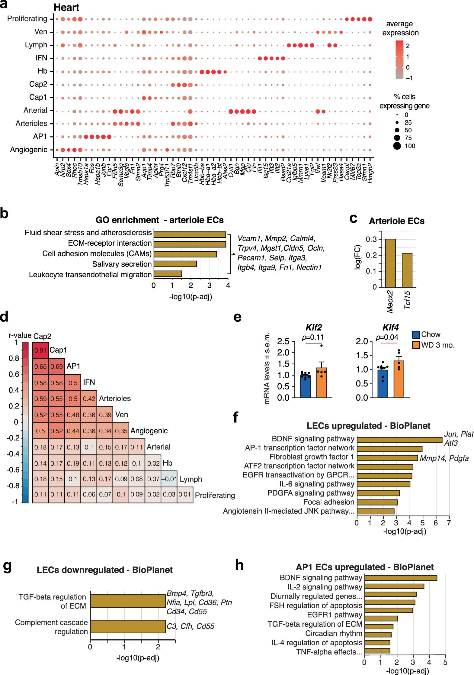 Extended Data Fig. 5