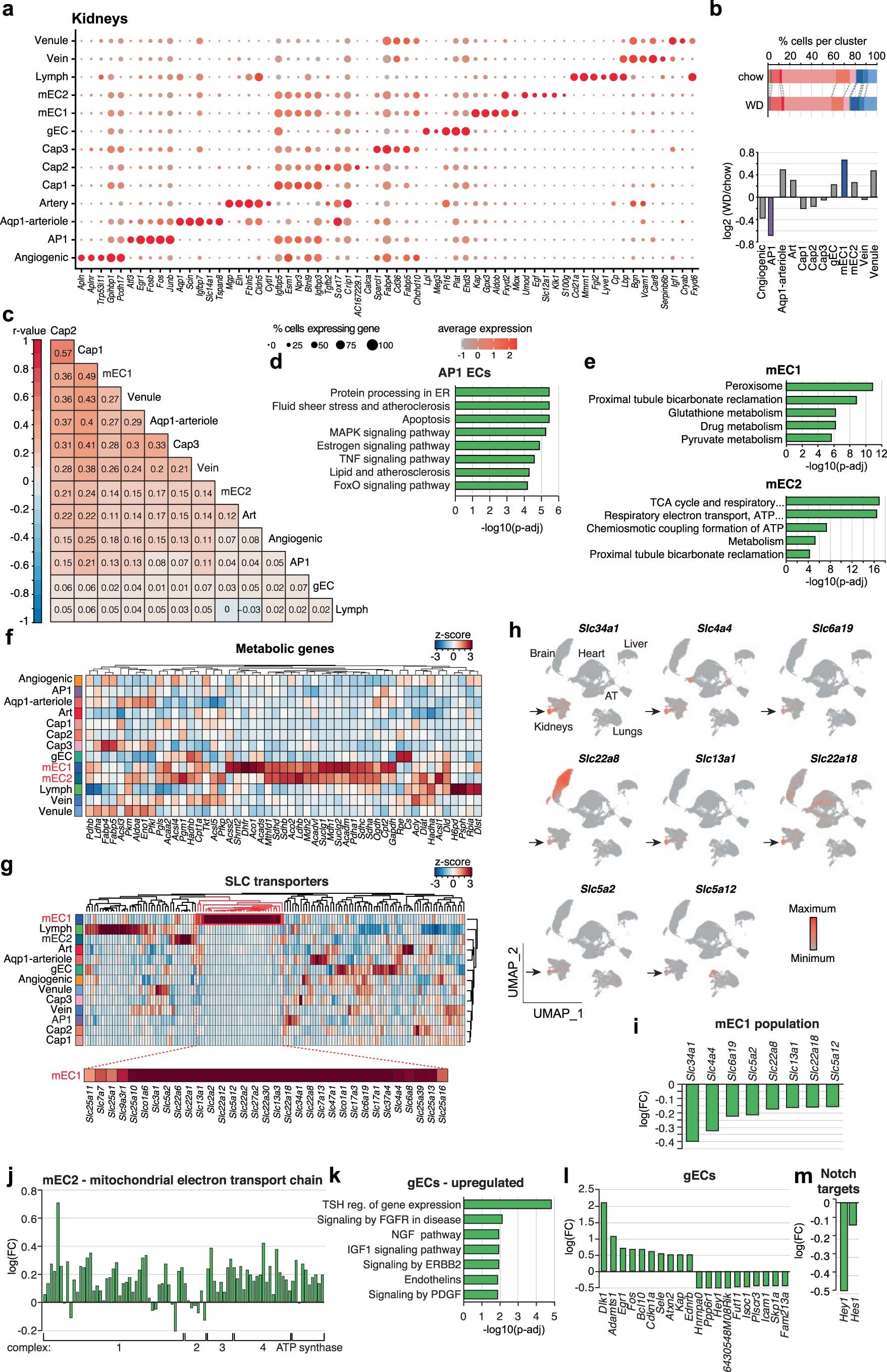 Extended Data Fig. 7