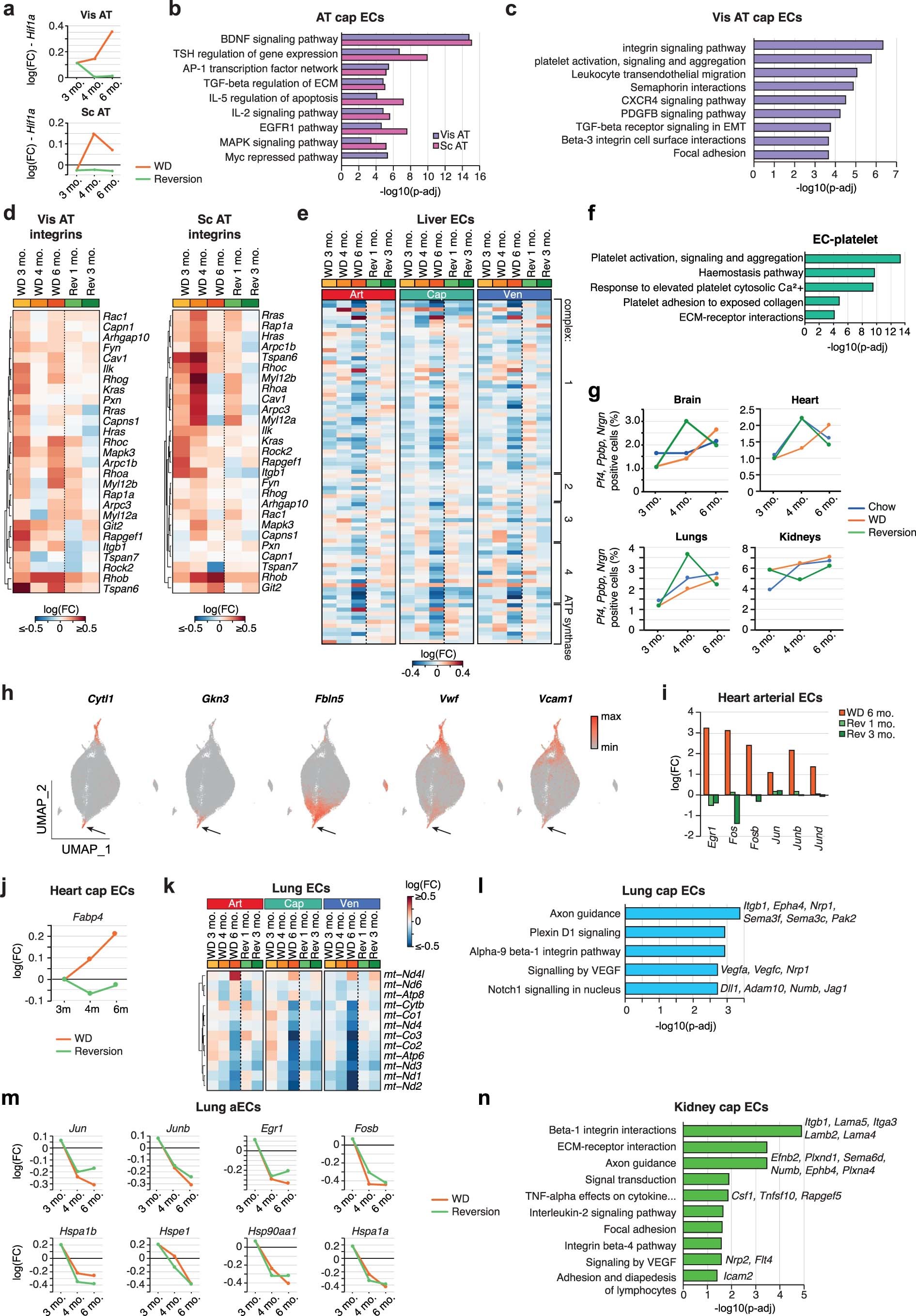Extended Data Fig. 10