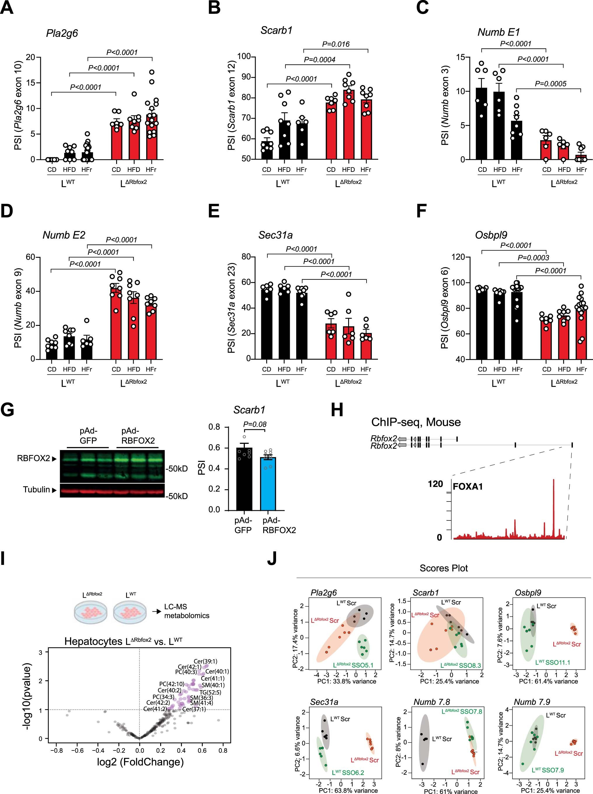 Extended Data Fig. 6: Quantification of AS of direct RBFOX2 targets in mice fed a CD, a HFD or a HFr diet.
