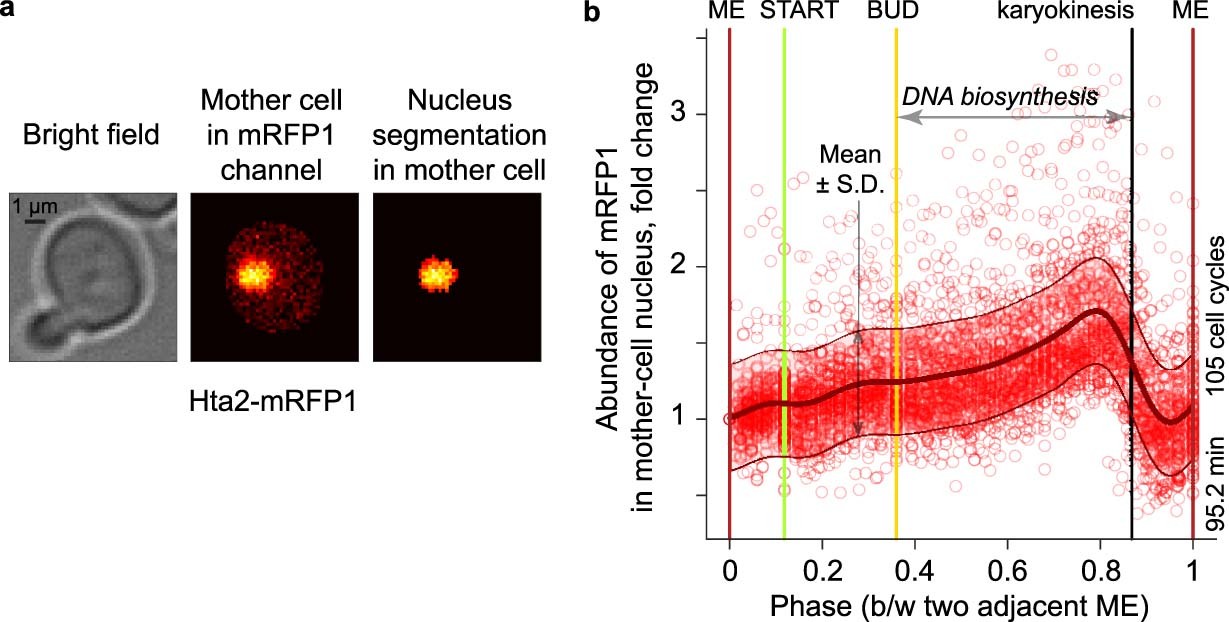 Extended Data Fig. 2