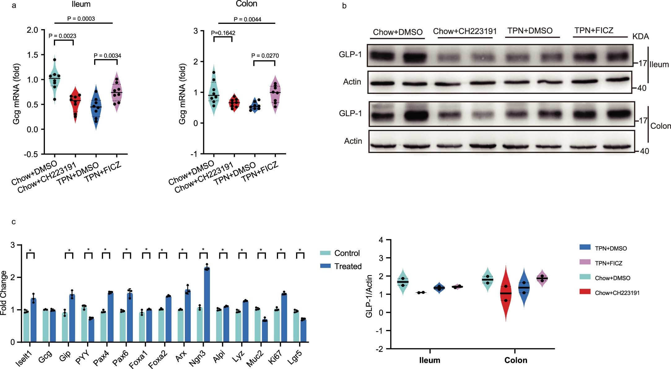 Extended Data Fig. 8: AhR ligand can influence the ability of L cells to secrete GLP-1 through multiple pathways.