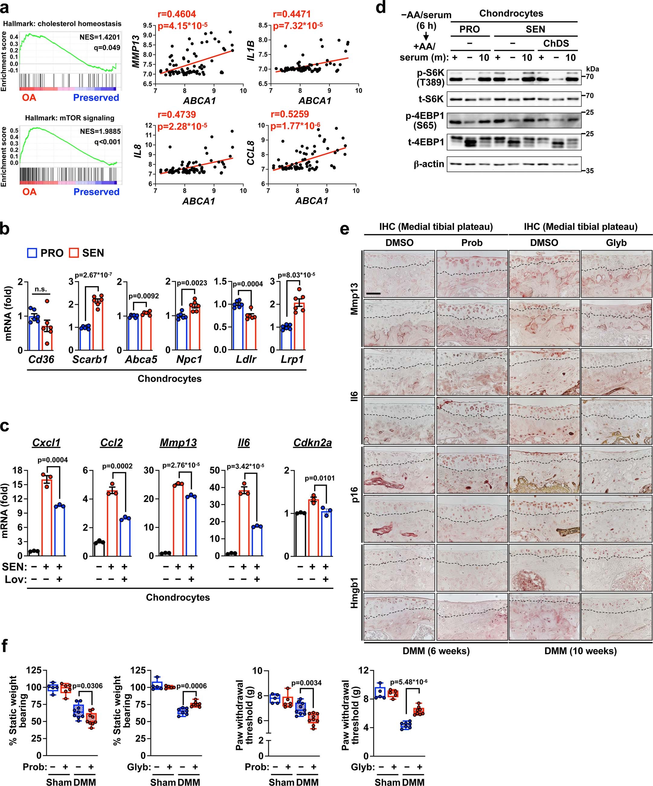 Extended Data Fig. 9
