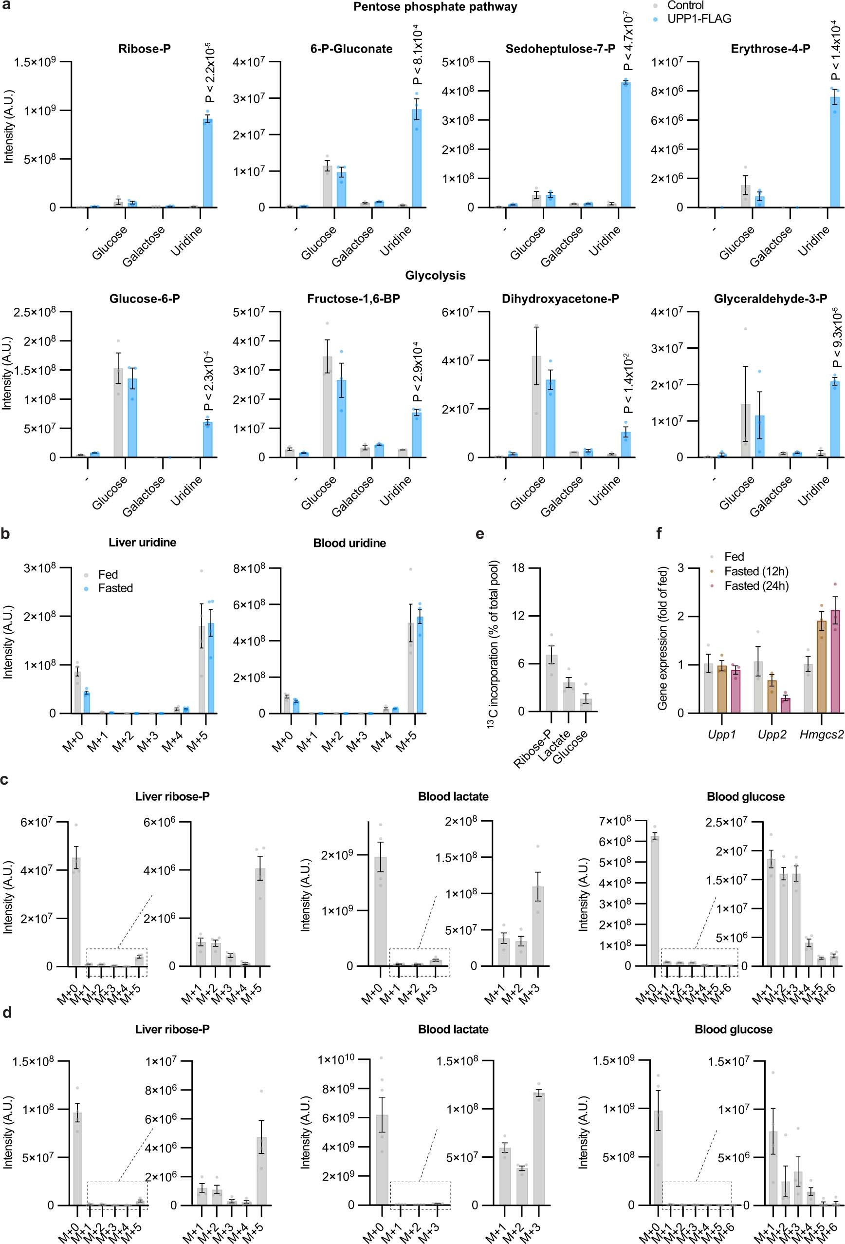 Extended Data Fig. 4: Additional metabolomics analysis.