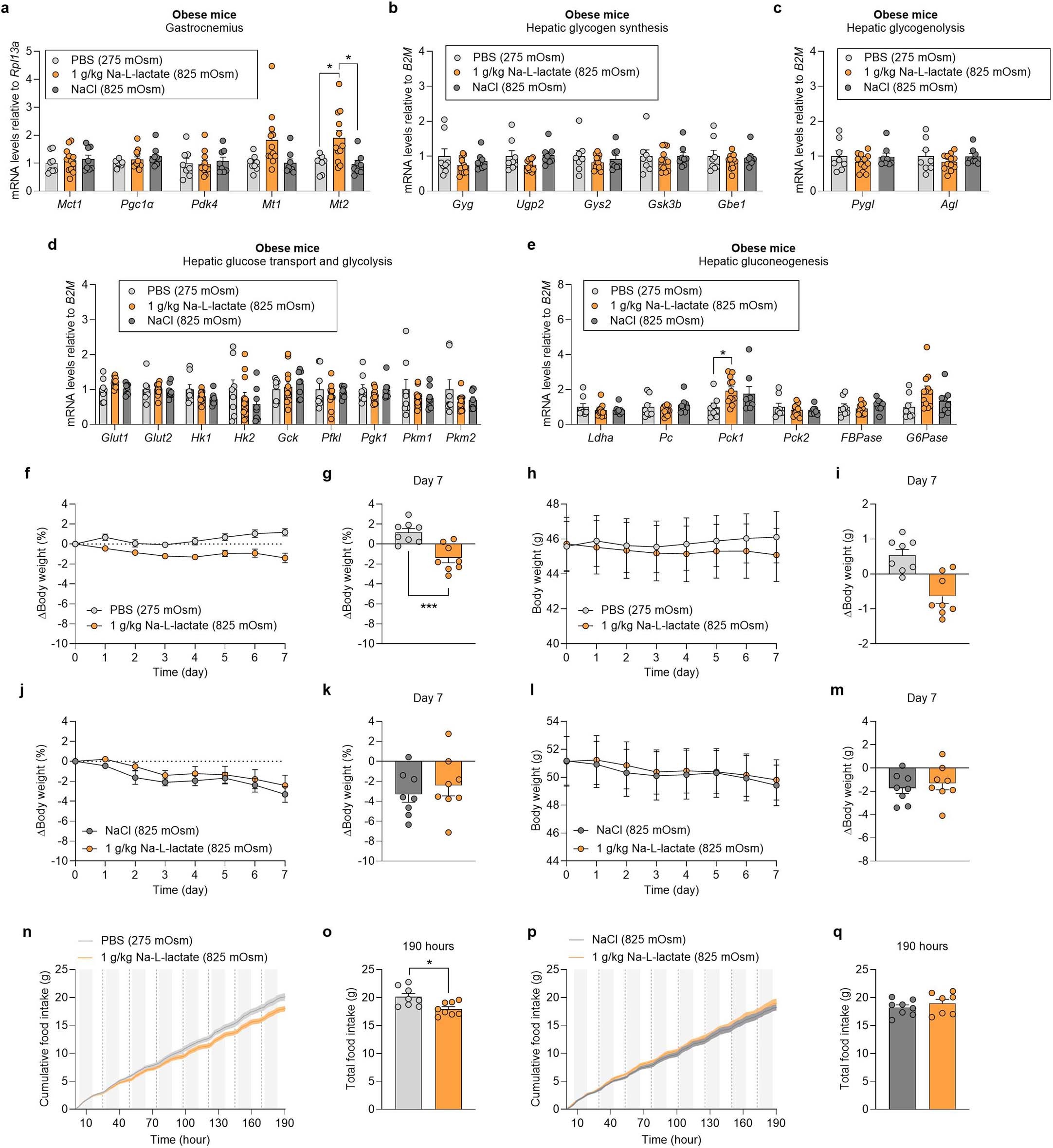 Extended Data Fig. 7: Effects of Na-l-lactate on tissue gene expression, body weight and food intake.