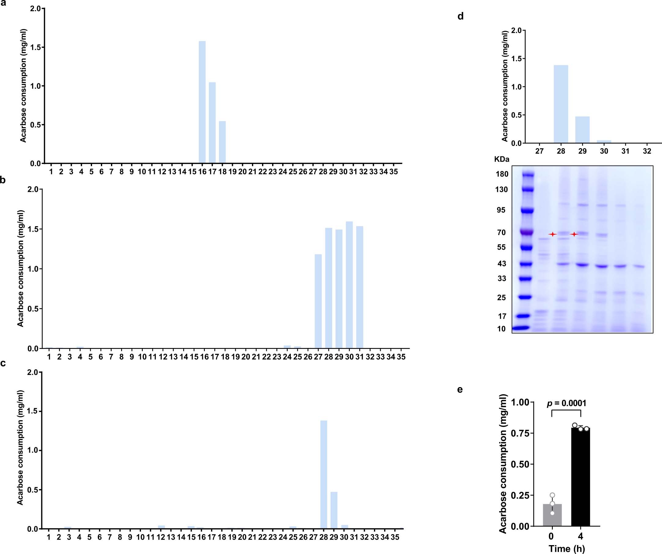 Extended Data Fig. 2: Separation and purification of enzymes responsible for acarbose degradation in K. grimontii TD1.