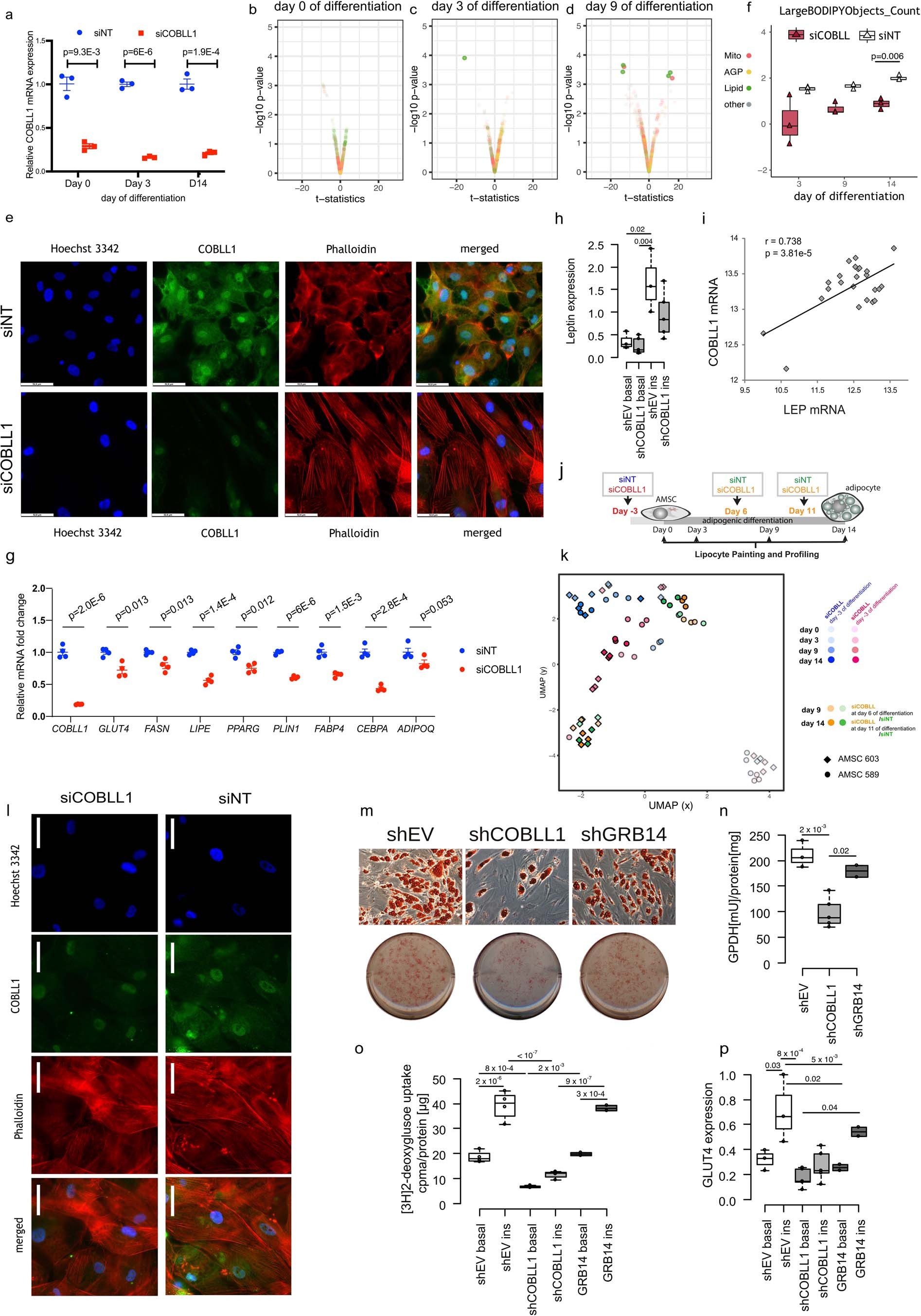 Extended data Fig. 5