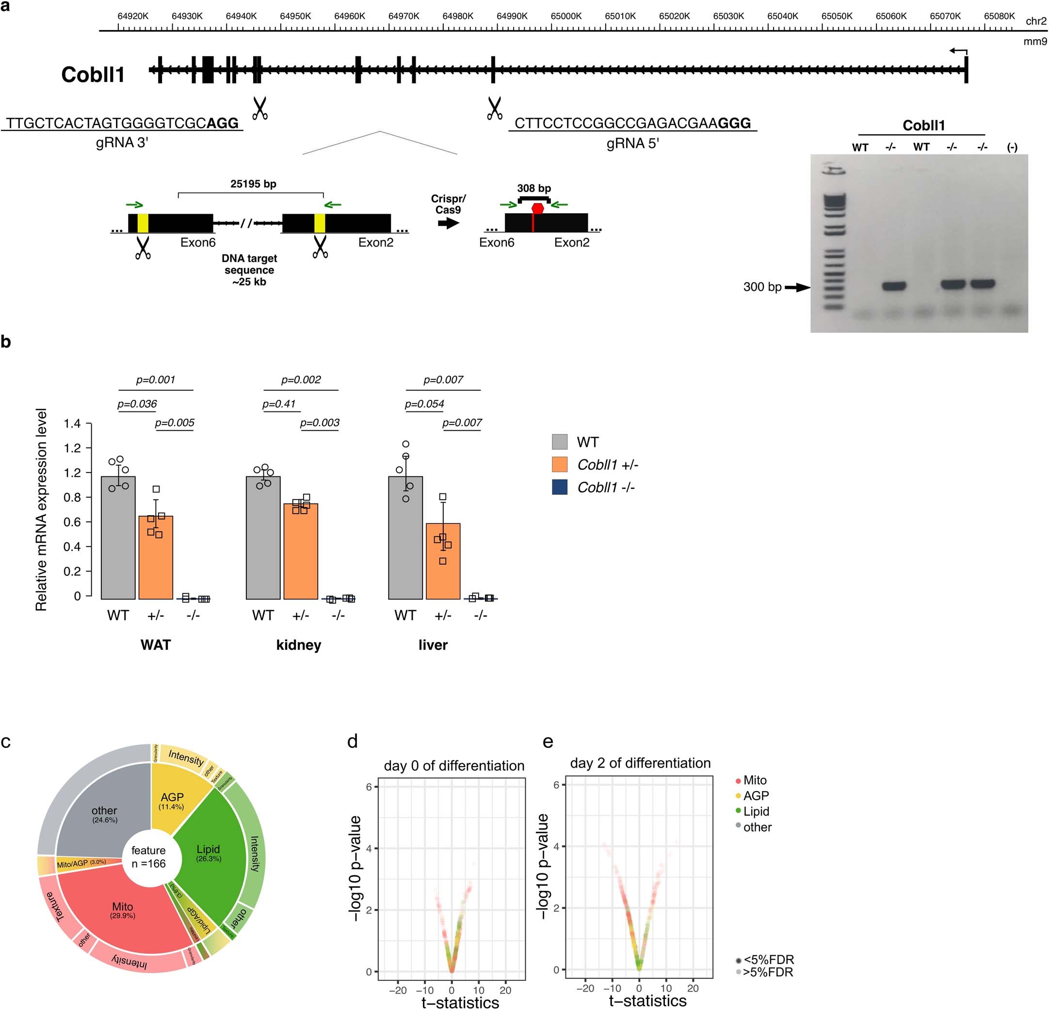 Extended data Fig. 7