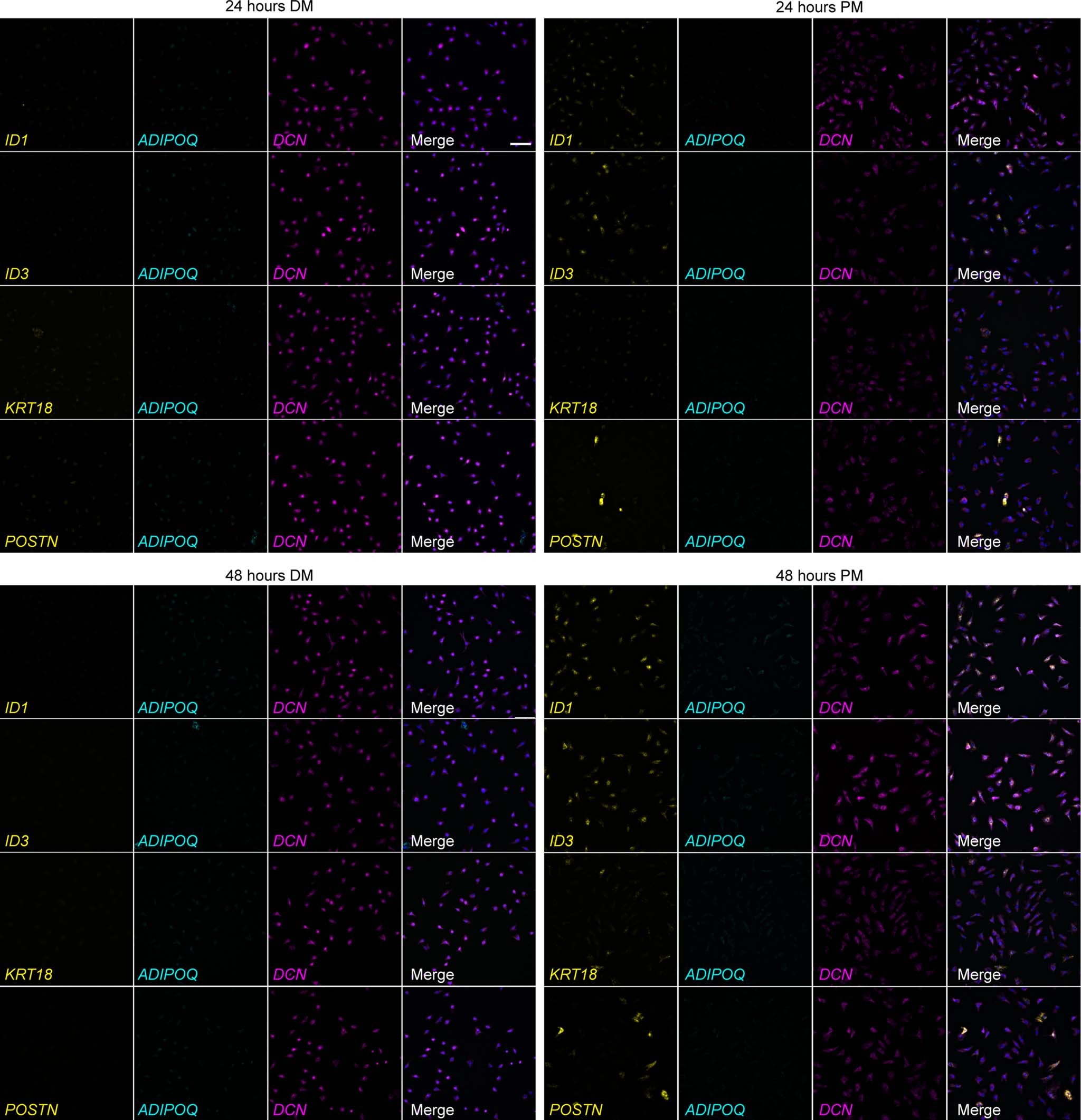 Extended Data Fig. 3