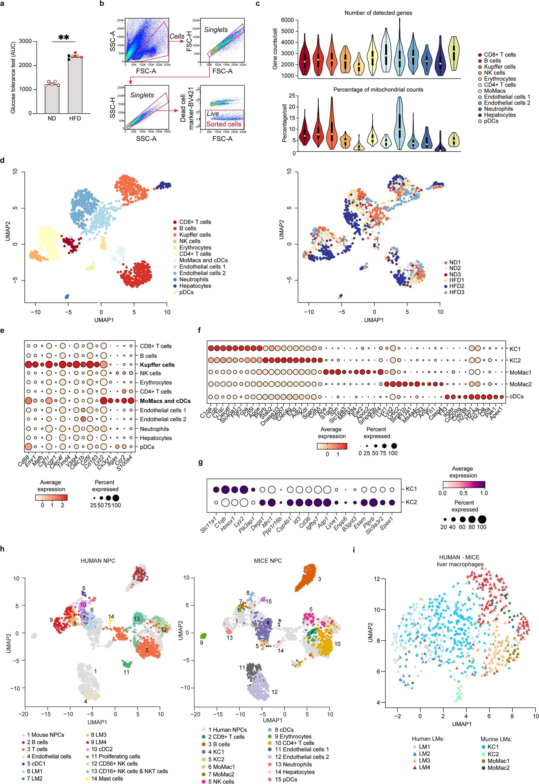 Extended Data Fig. 5: Characterisation and annotation of murine liver macrophages.