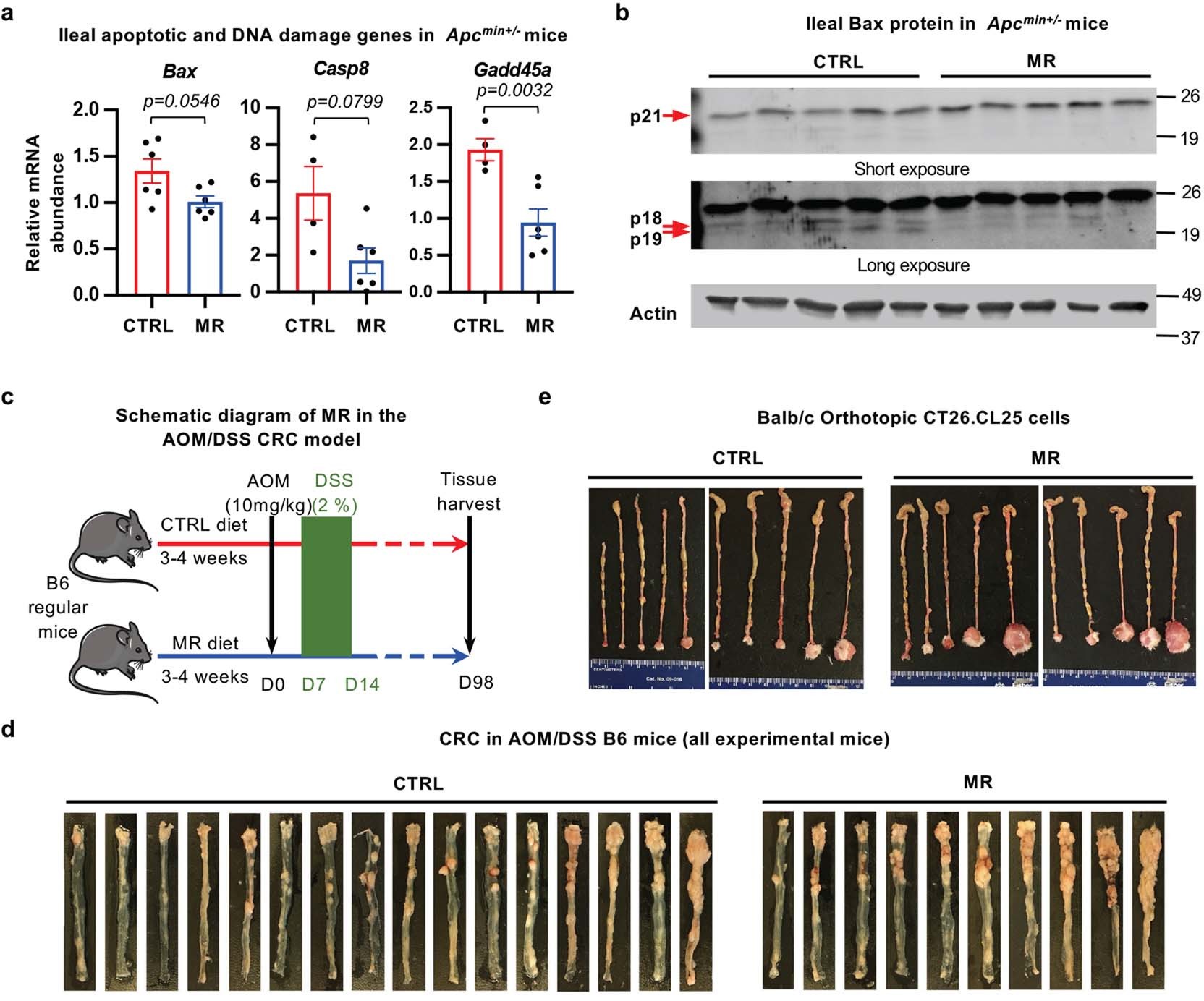 Extended Data Fig. 1