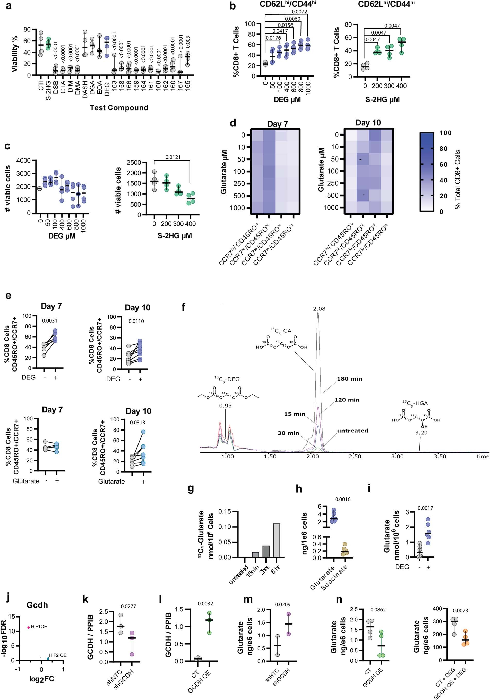 Extended Data Fig. 1: Glutarate is an endogenous regulator of CD8+ T cell function.