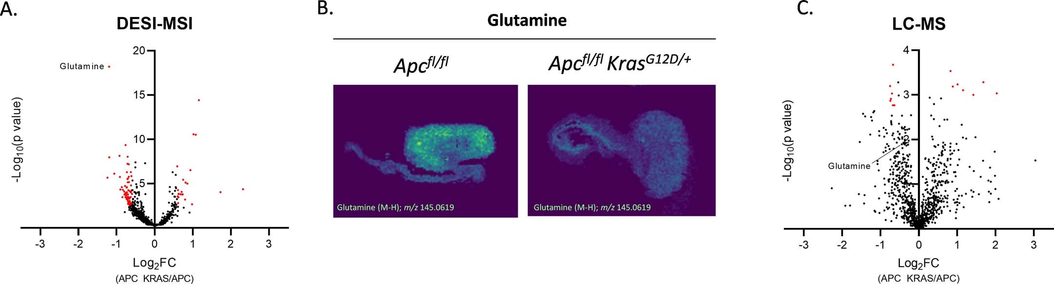 Extended Data Fig. 4: Comparative untargeted metabolomics of APC and APC KRAS tumours by DESI-MSI and LC-MS.
