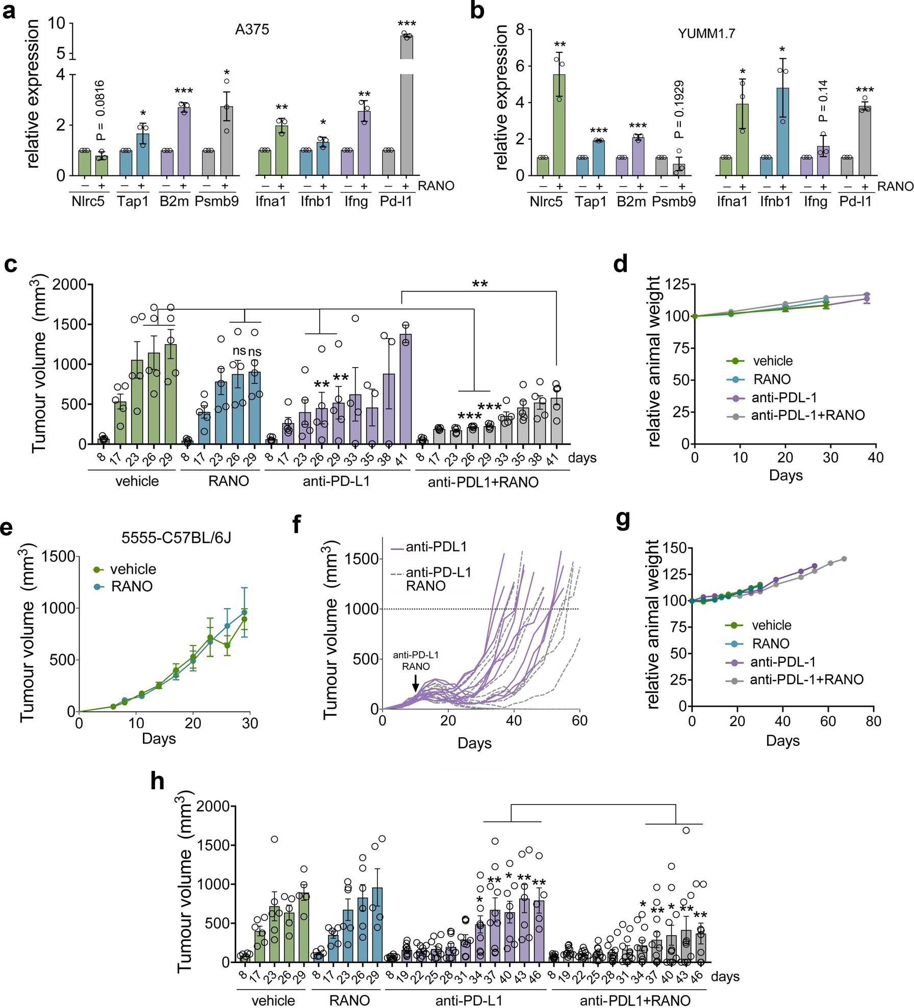 Extended Data Fig. 7: Ranolazine improves anti-PD-L1 therapy.