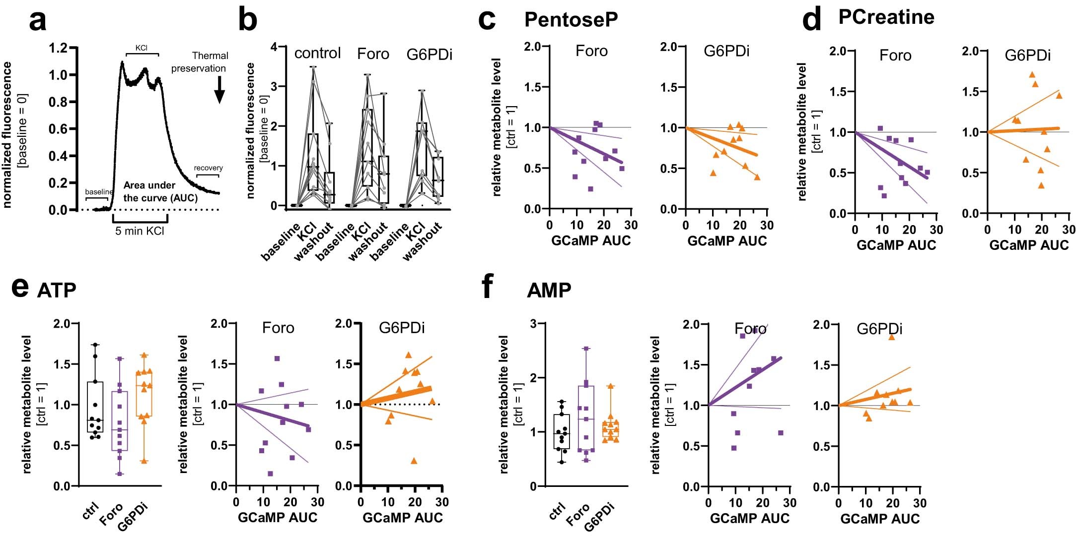 Extended Data Fig. 5: Details of metabolite behavior and inhibitor sensitivity in recovery from stimulation.