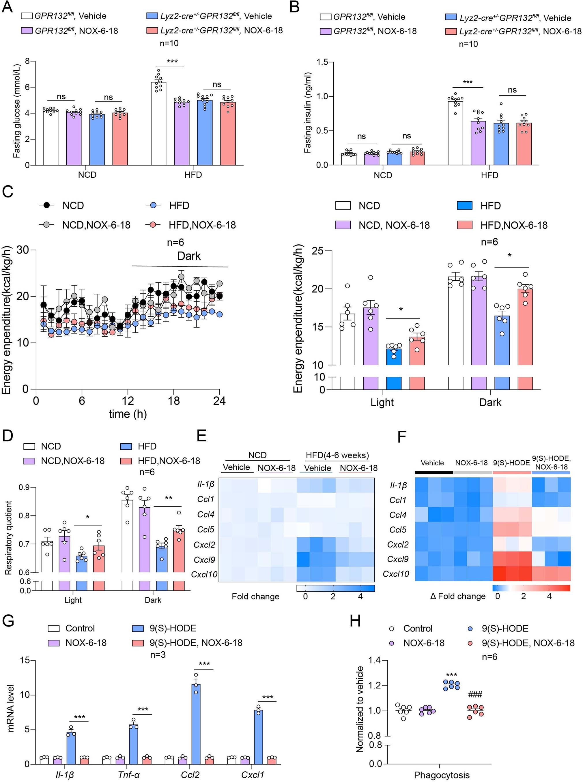 Extended Data Fig. 10: Gpr132 antagonist improved glucose metabolism and islet homeostasis in HFD-fed male mice.