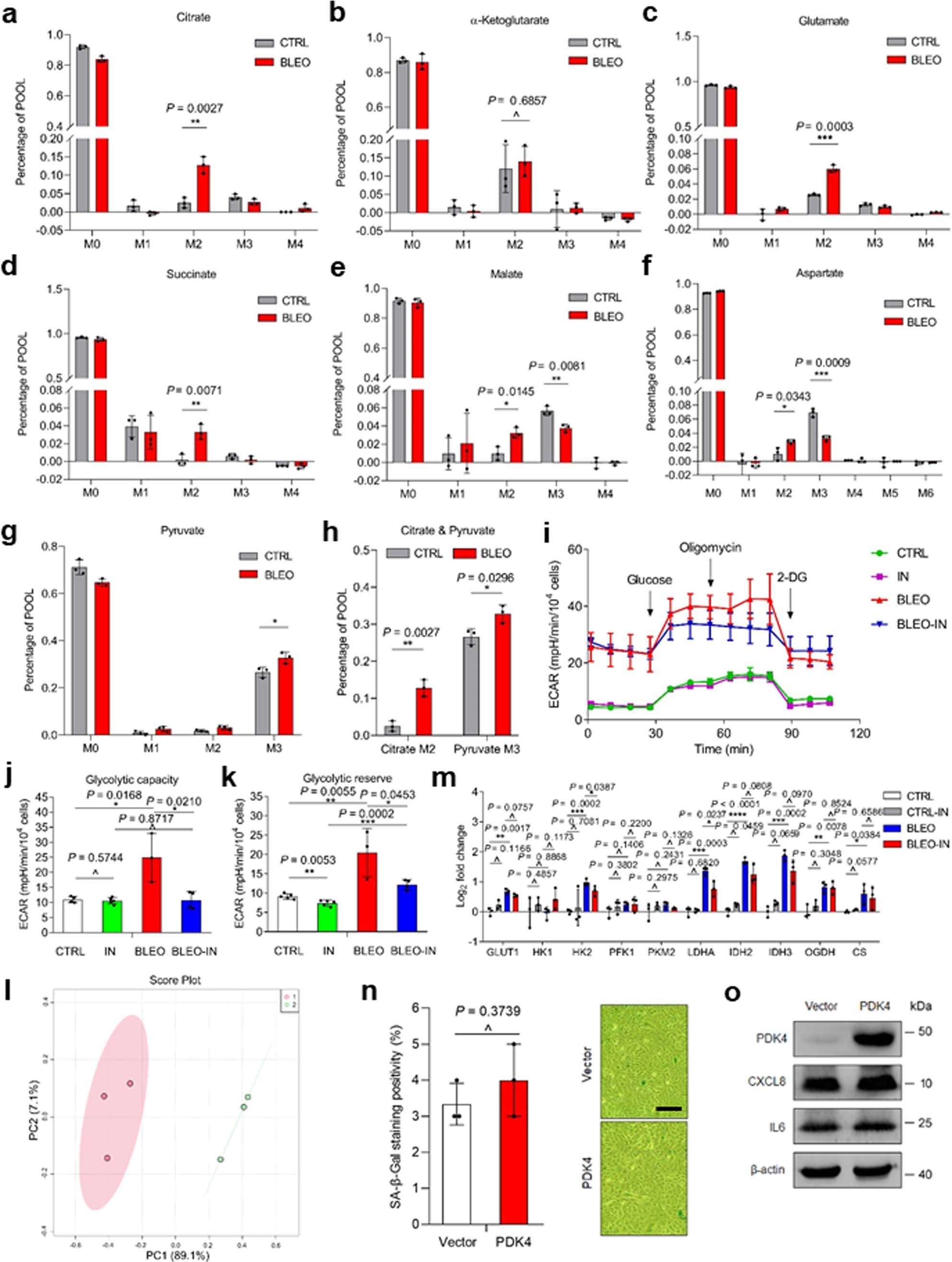 Extended Data Fig. 3: Senescent cells manifest glucose metabolic properties distinct from normal and cancer cells.