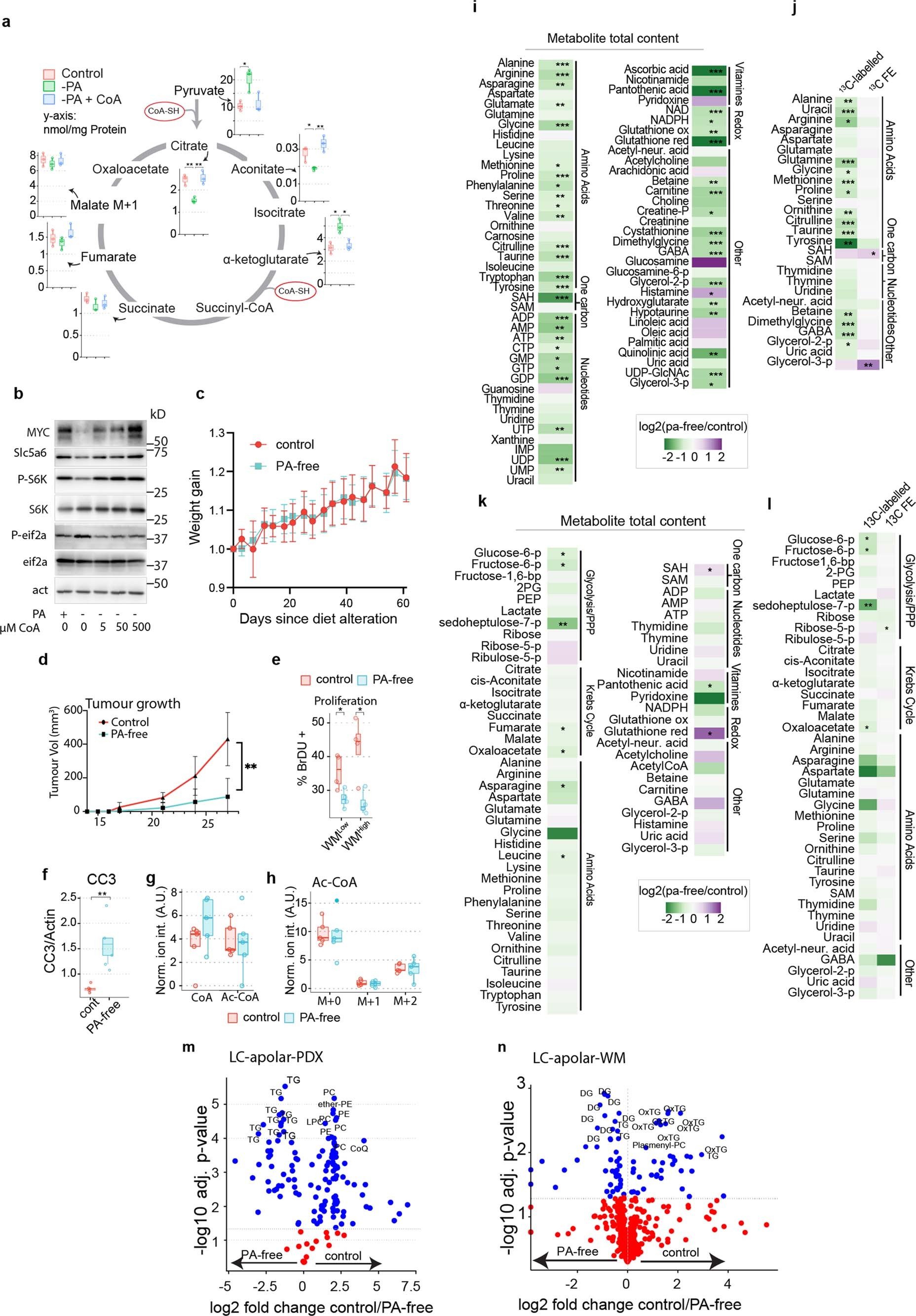 Extended Data Fig. 5: PA deprivation slows down mammary tumor growth in PDXs and WM tumors.