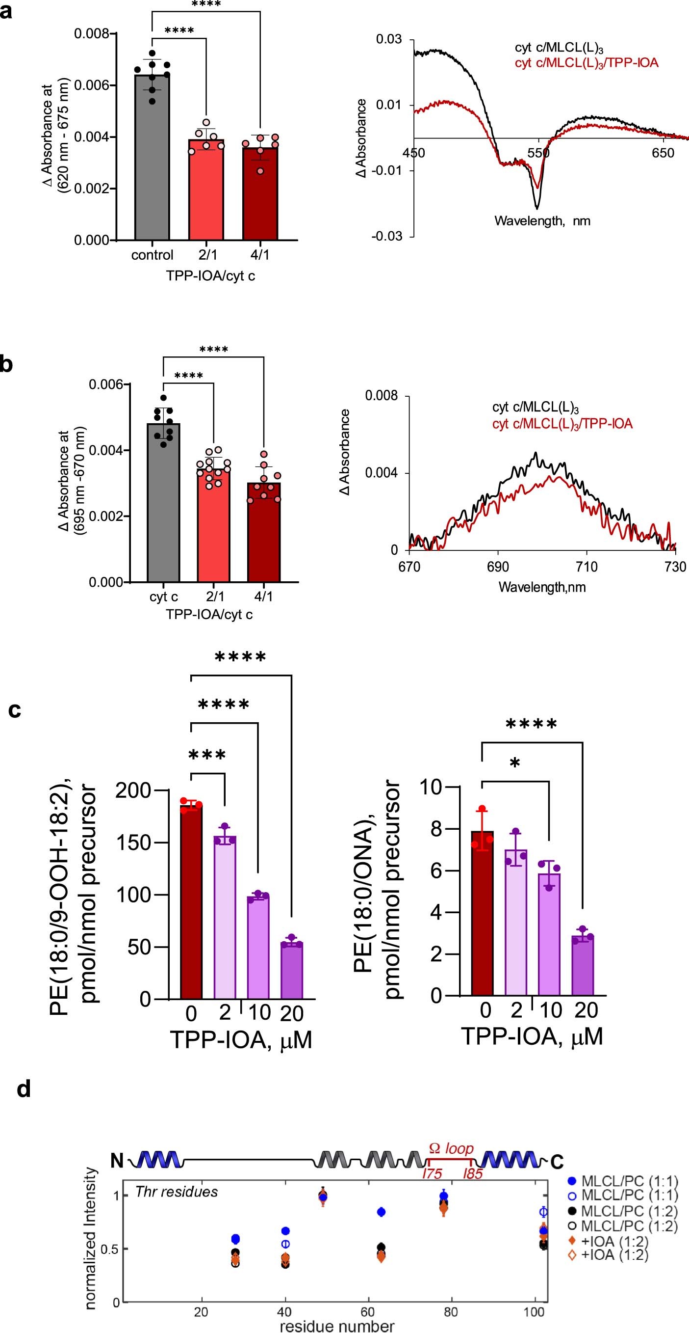 Extended Data Fig. 7: Effect of TPP-IOA on structure of cyt c–MLCL peroxidase complex, with MLCL, lipid oxidation and the endurance of Drosophila melanogaster.