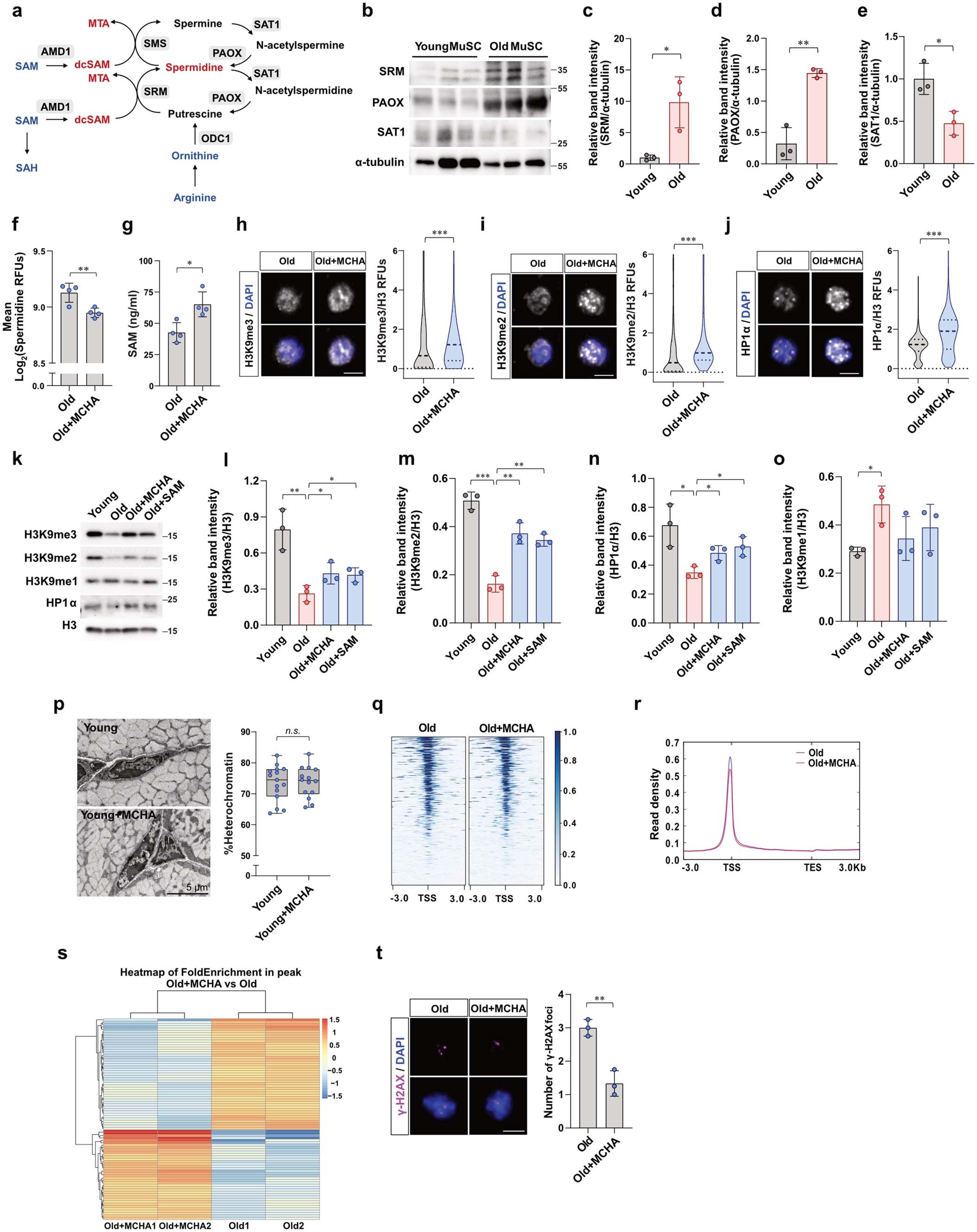 Extended Data Fig. 3