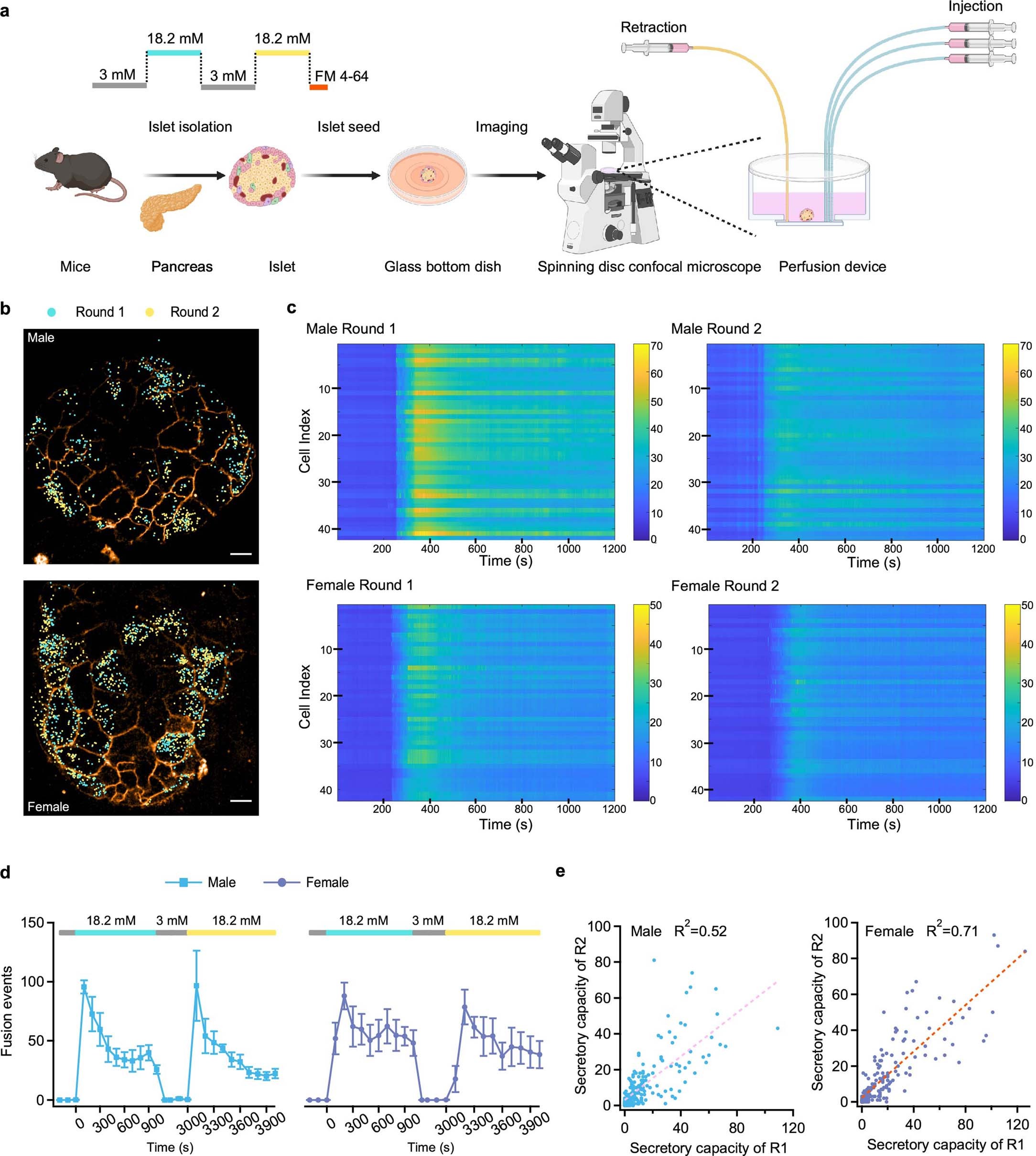 Extended Data Fig. 4: Repeated perfusion-stimulated exocytosis in mouse islets.
