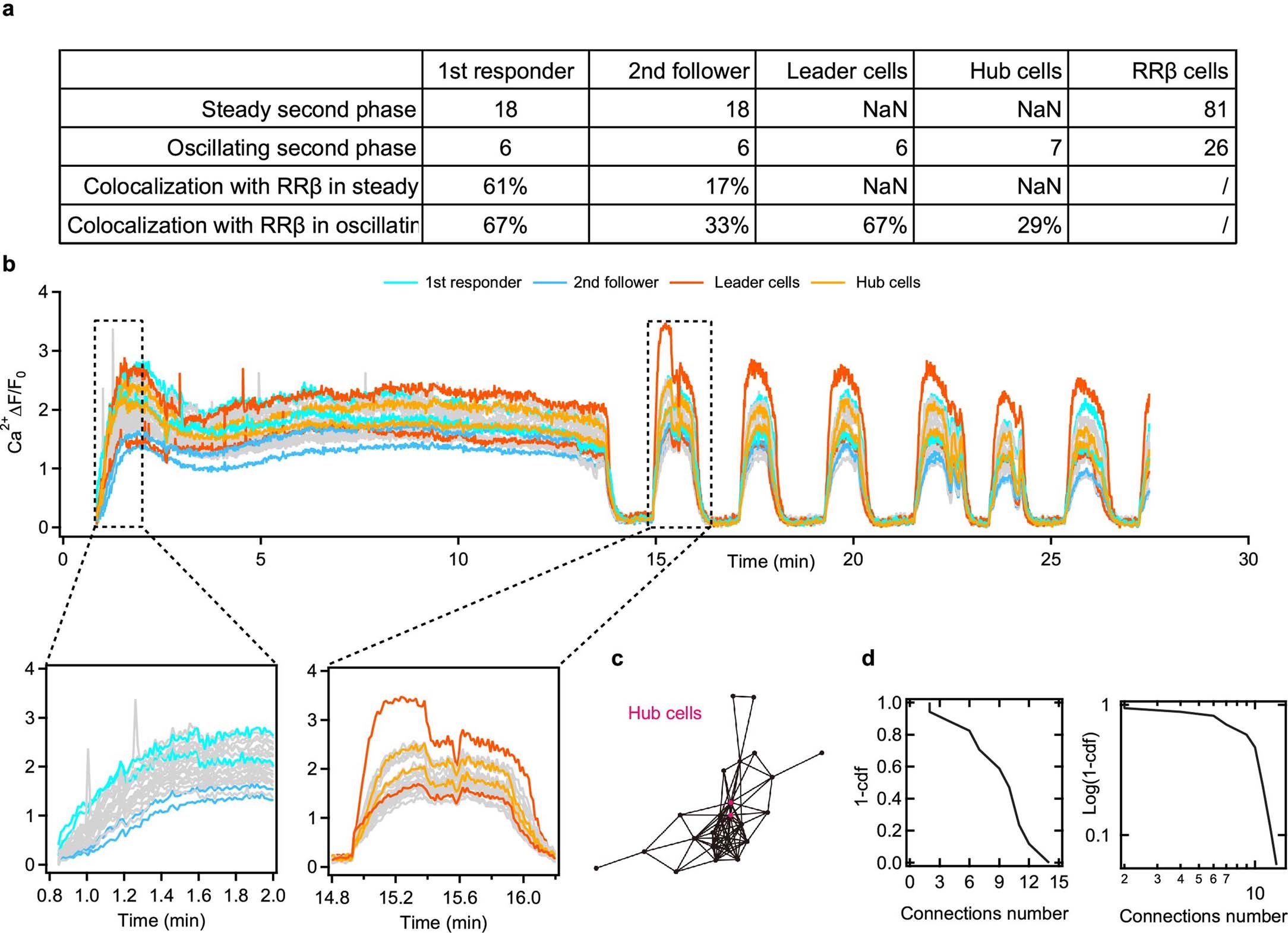 Extended Data Fig. 5: Comparison of the secretory capacity of specific cell types with RRβ cells.