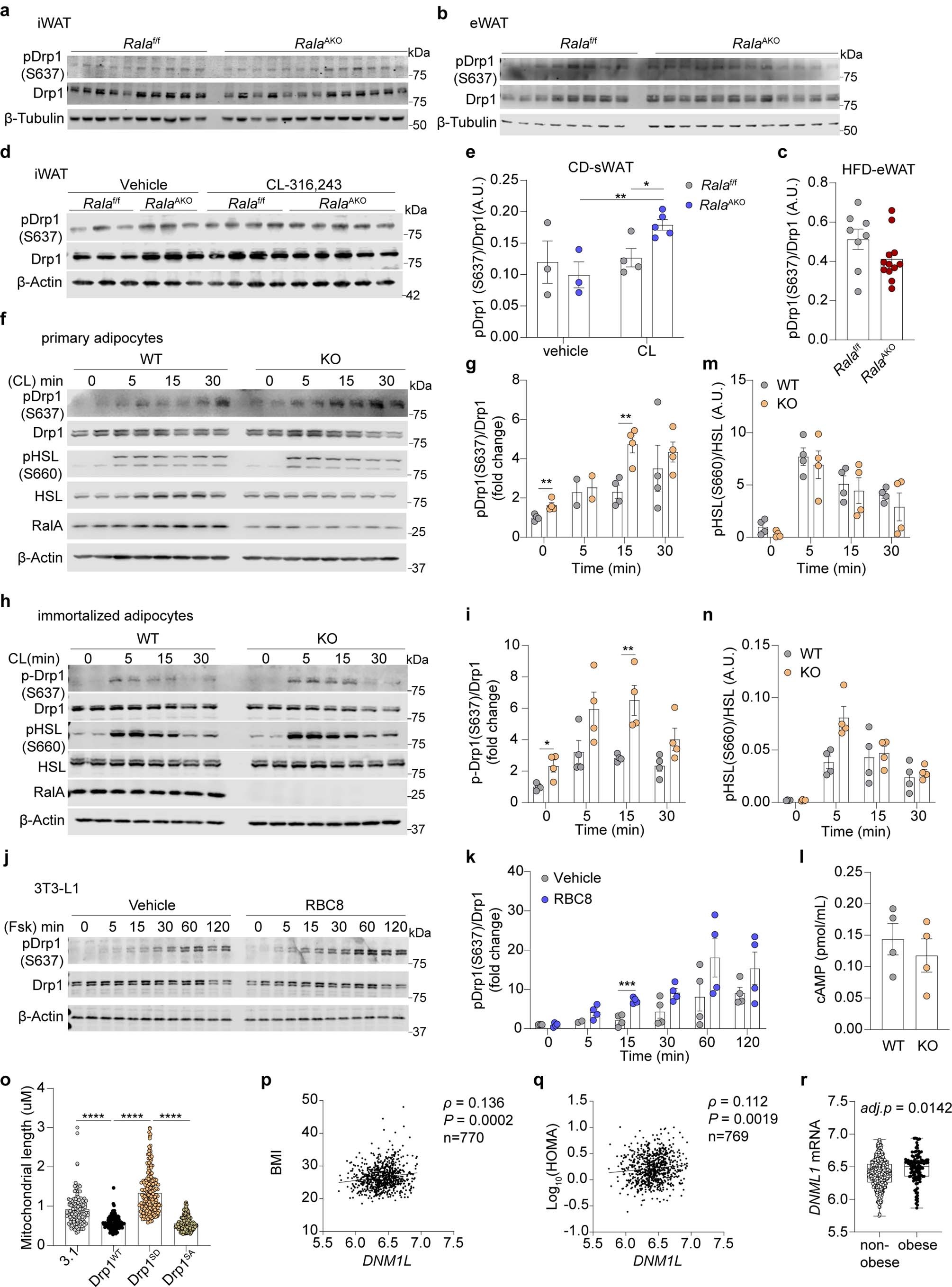 Extended Data Fig. 6