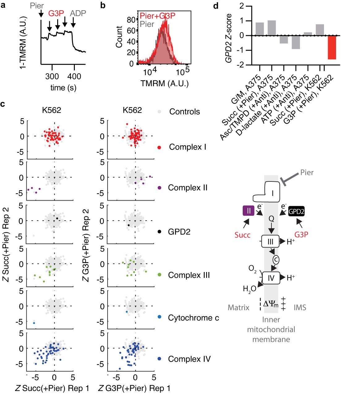 Extended Data Fig. 2