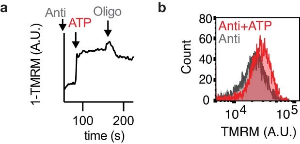 Extended Data Fig. 4