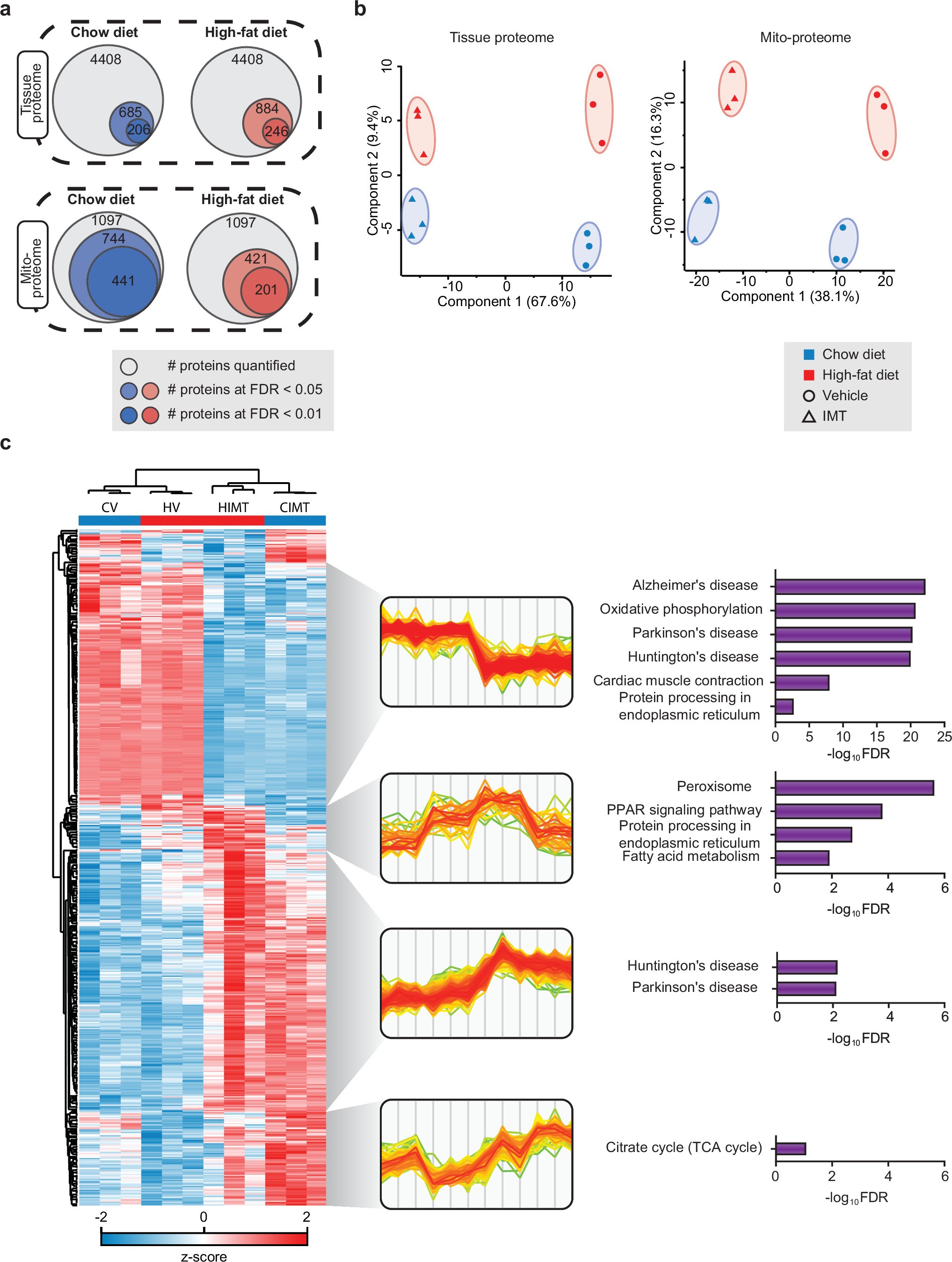 Extended Data Fig. 6: Analysis of the total and mitochondrial proteome.