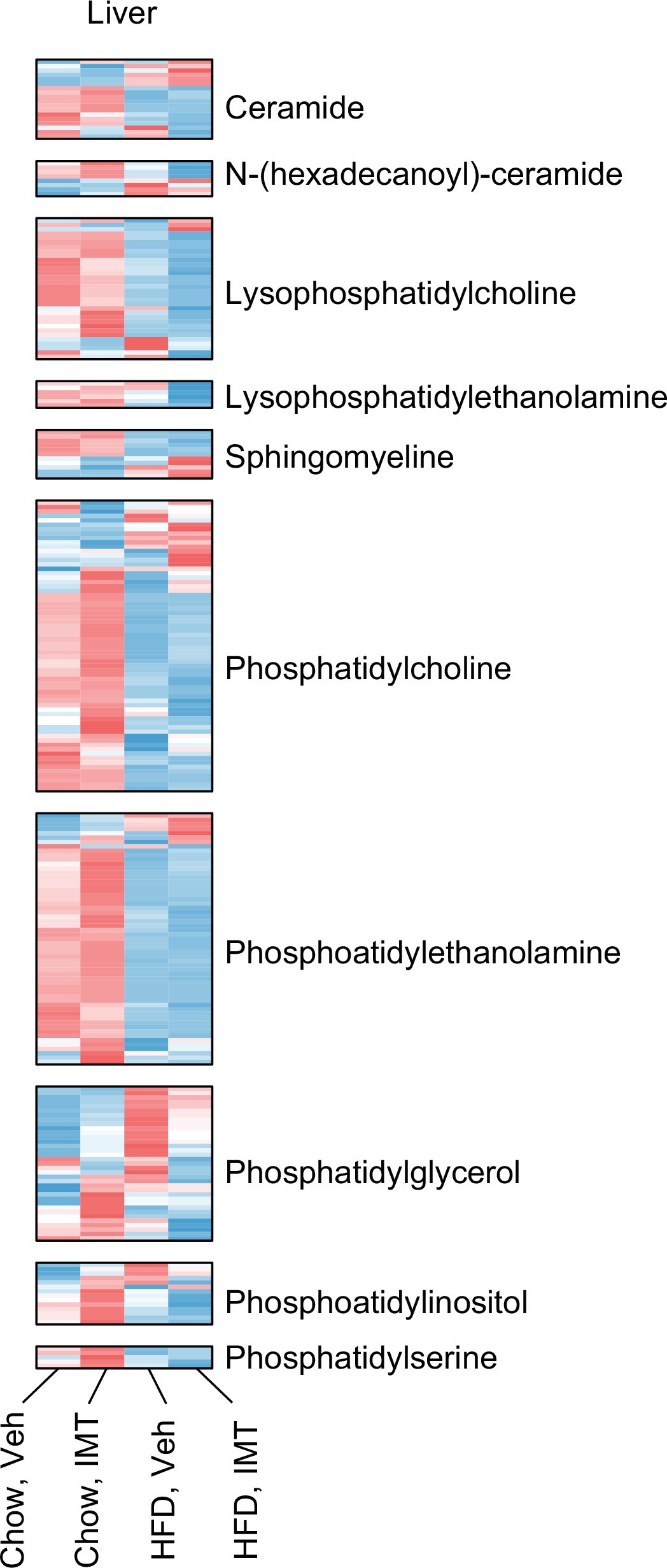 Extended Data Fig. 4: IMT treatment does not change levels of phospholipids and sphingolipids.