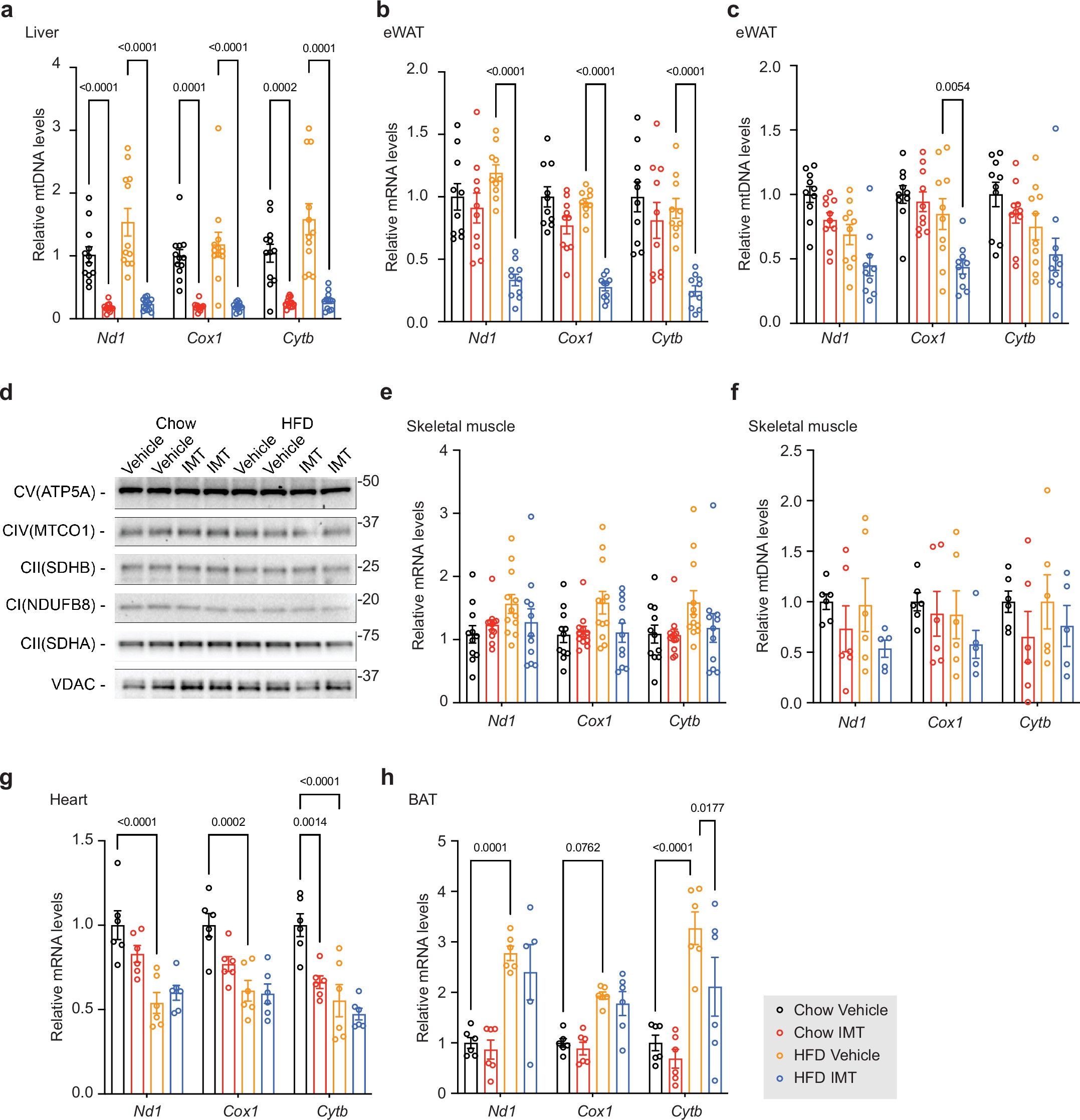 Extended Data Fig. 5: Levels of mitochondrial transcripts and mtDNA in different tissues of IMT-treated mice.